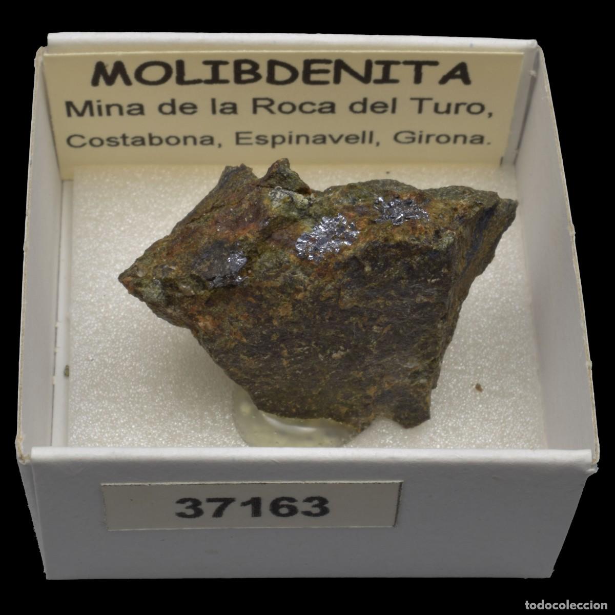 Coleccionismo de minerales: MOLIBDENITA (Mina de la Roca del Turo, Costabona, Girona, Espa&ntilde;a) #37163