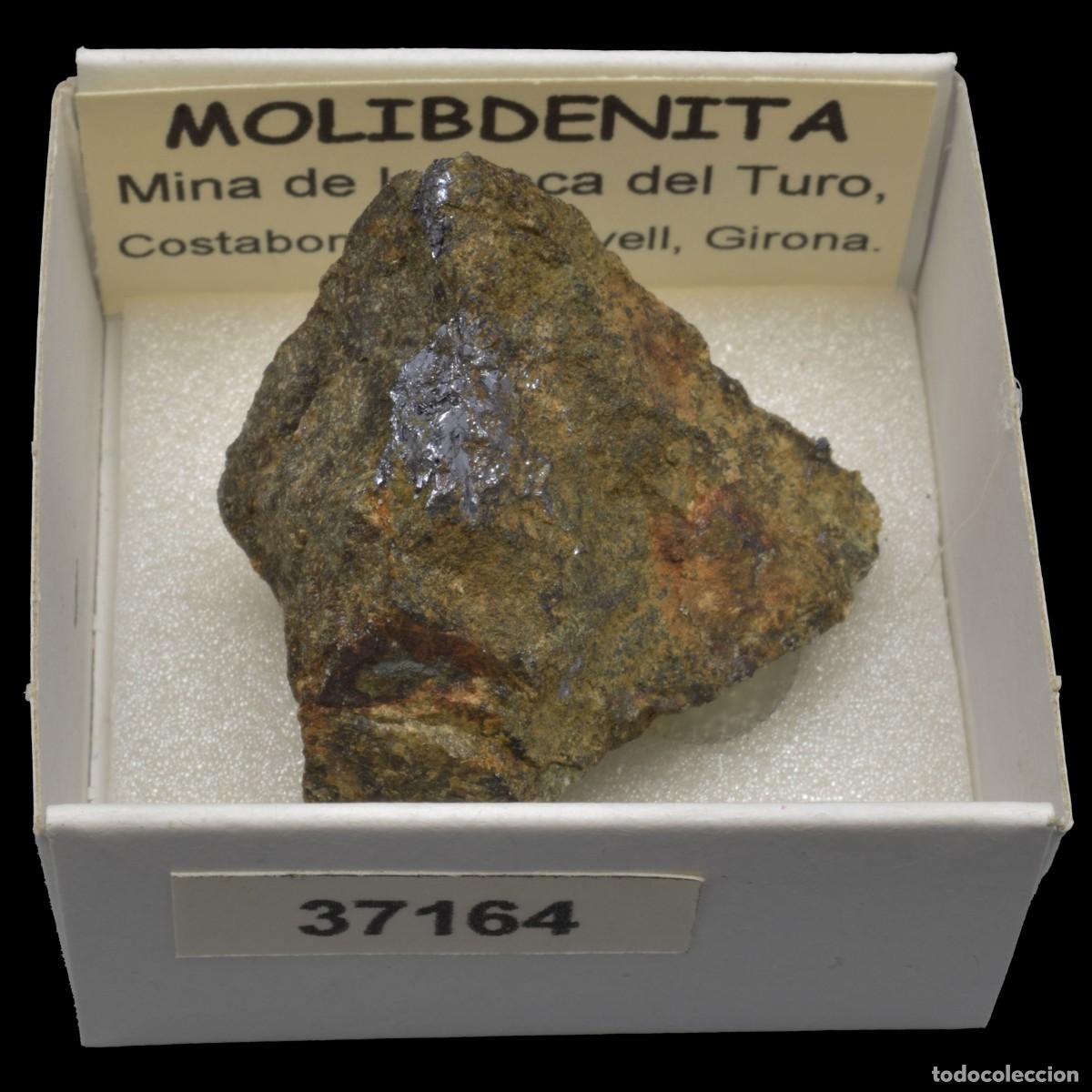 Coleccionismo de minerales: MOLIBDENITA (Mina de la Roca del Turo, Costabona, Girona, Espa&ntilde;a) #37164