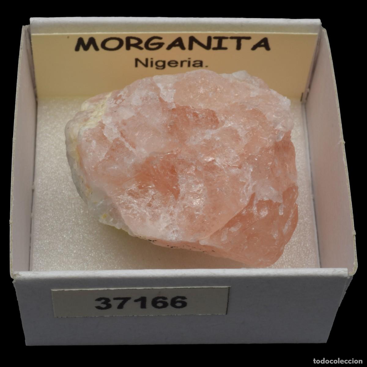 Coleccionismo de minerales: MORGANITA melocoton (Nigeria) #37166
