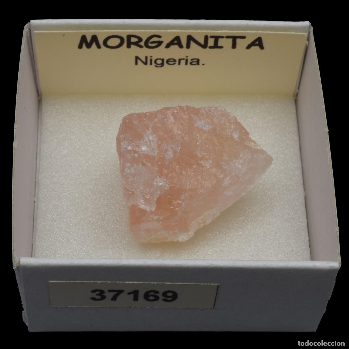 Coleccionismo de minerales: MORGANITA melocoton (Nigeria) #37169