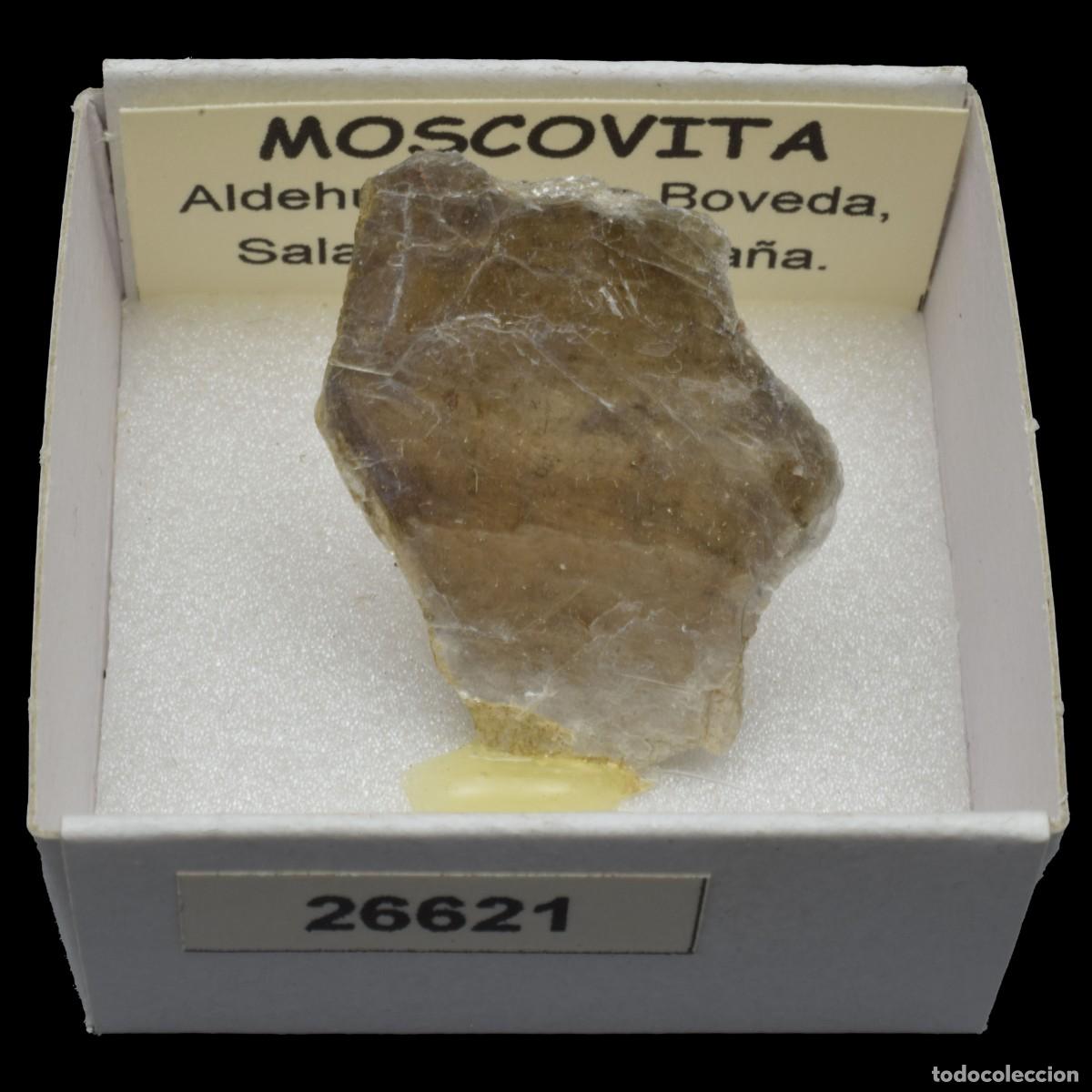 Coleccionismo de minerales: MOSCOVITA (Aldehuela de la Boveda, Salamanca, Espa&ntilde;a) #26621