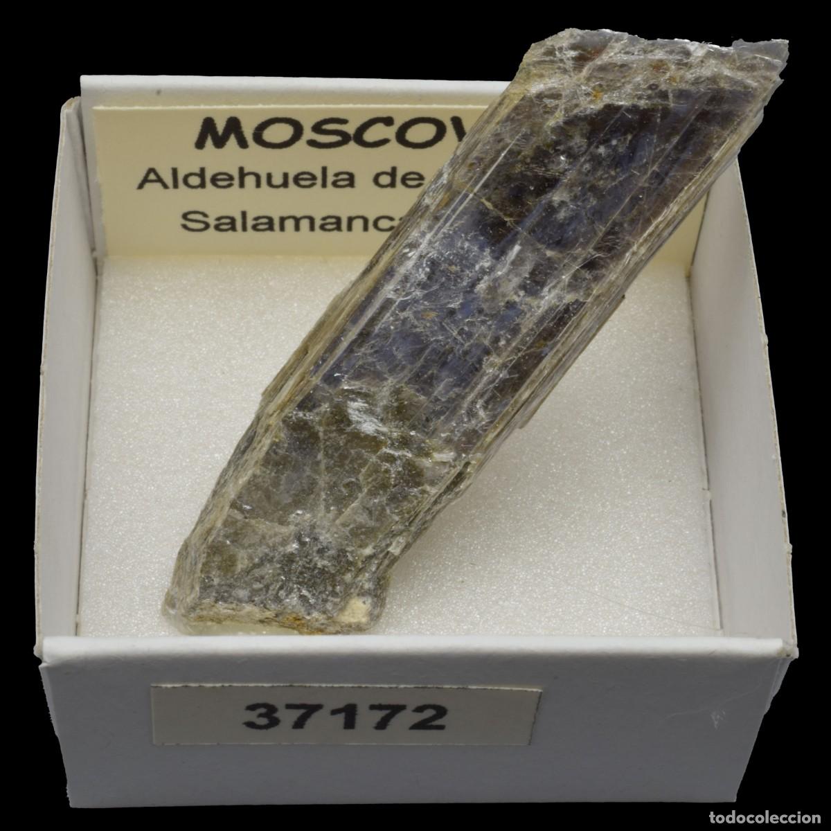 Coleccionismo de minerales: MOSCOVITA (Aldehuela de la Boveda, Salamanca, Espa&ntilde;a) #37172