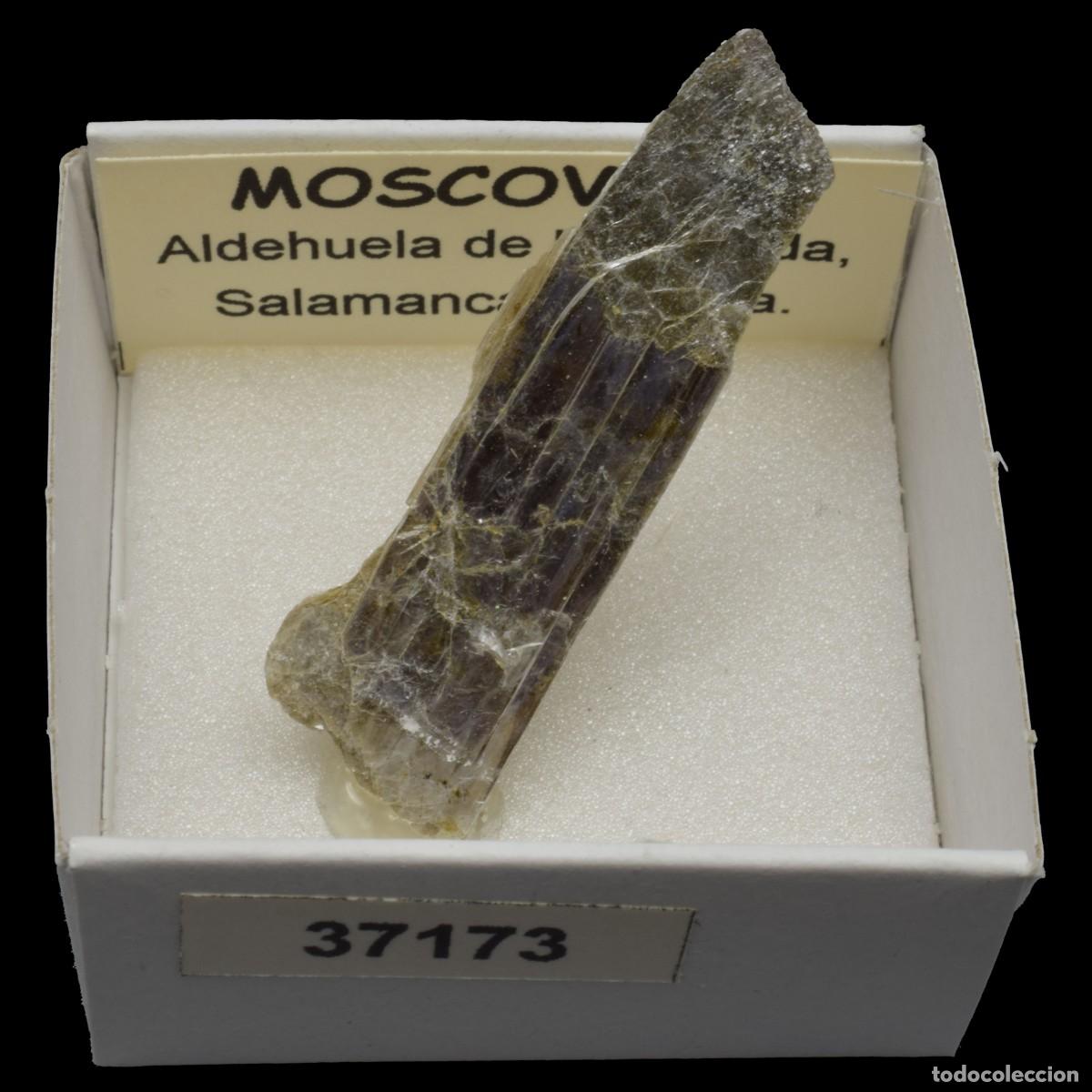 Coleccionismo de minerales: MOSCOVITA (Aldehuela de la Boveda, Salamanca, Espa&ntilde;a) #37173