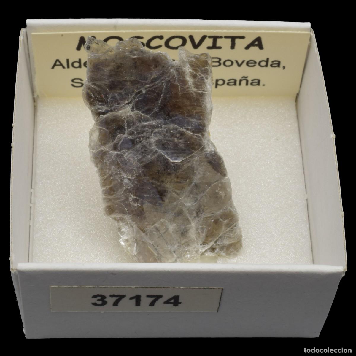 Coleccionismo de minerales: MOSCOVITA (Aldehuela de la Boveda, Salamanca, Espa&ntilde;a) #37174