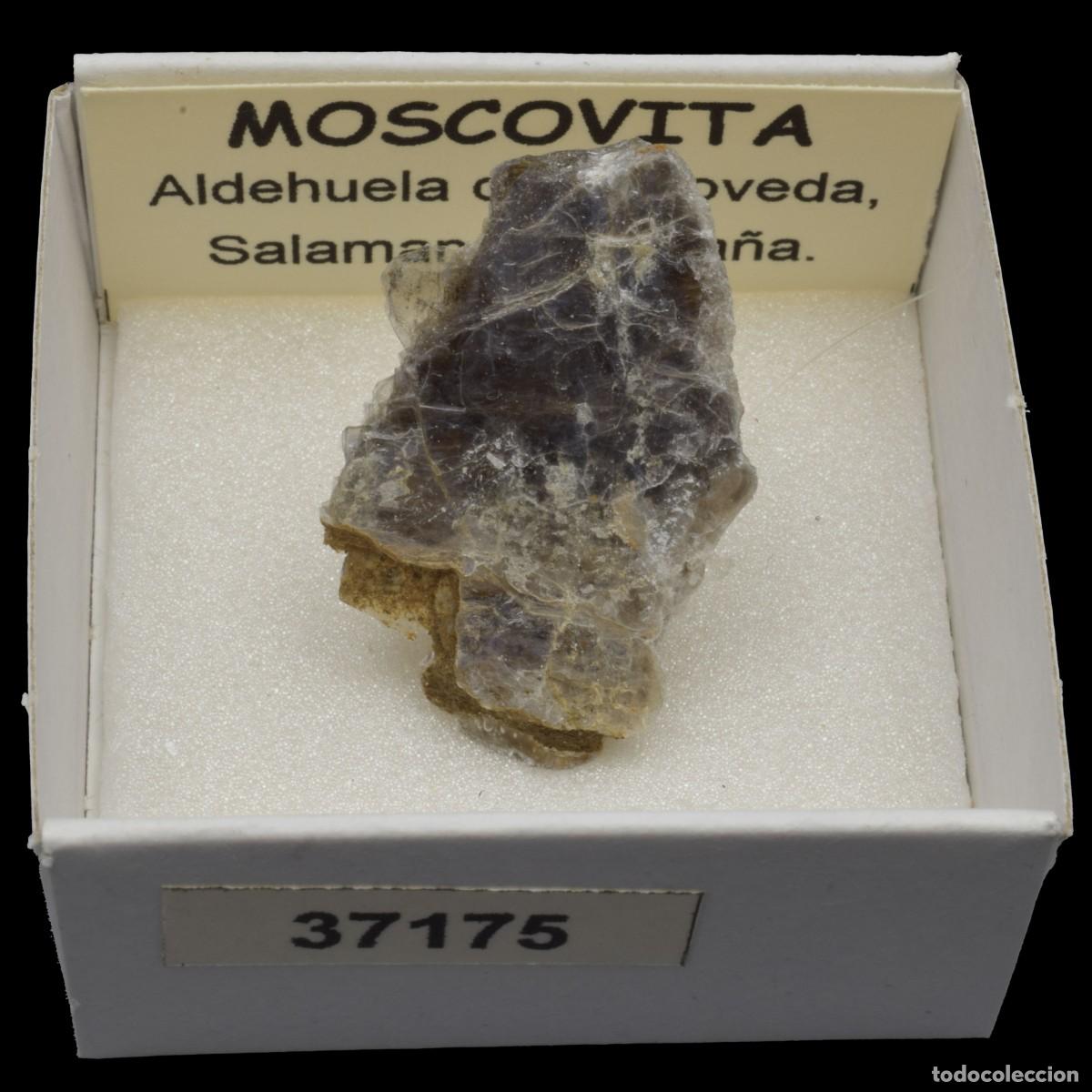 Coleccionismo de minerales: MOSCOVITA (Aldehuela de la Boveda, Salamanca, Espa&ntilde;a) #37175
