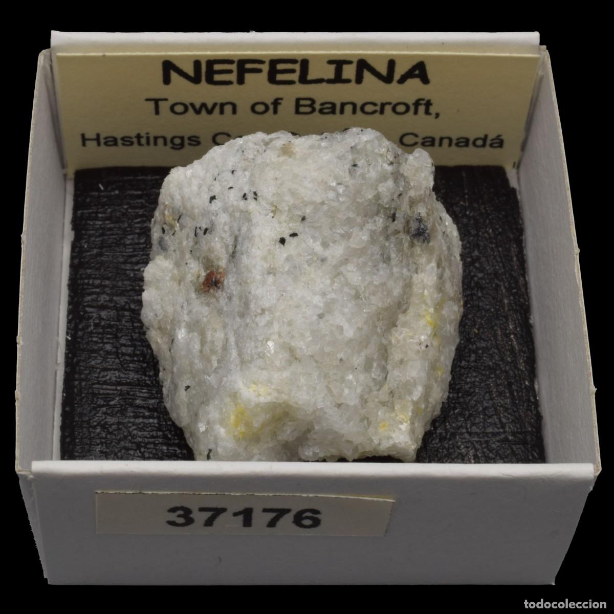 Coleccionismo de minerales: NEFELINA (Town of Bancroft, Hastings Co., Ontario, Canada) #37176