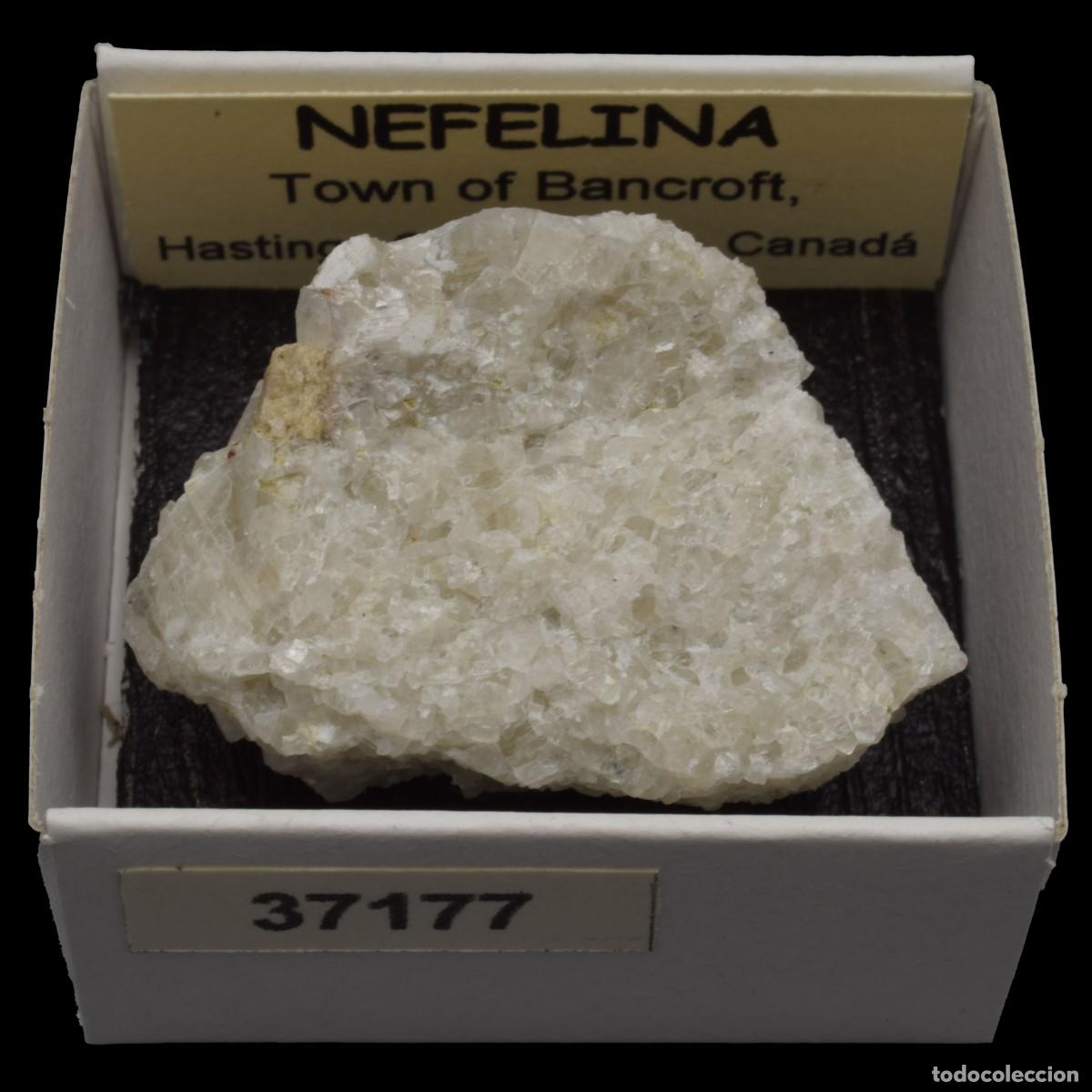 Coleccionismo de minerales: NEFELINA (Town of Bancroft, Hastings Co., Ontario, Canada) #37177