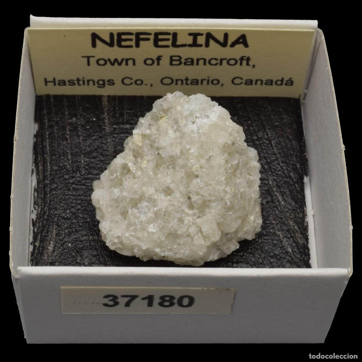 Coleccionismo de minerales: NEFELINA (Town of Bancroft, Hastings Co., Ontario, Canada) #37180