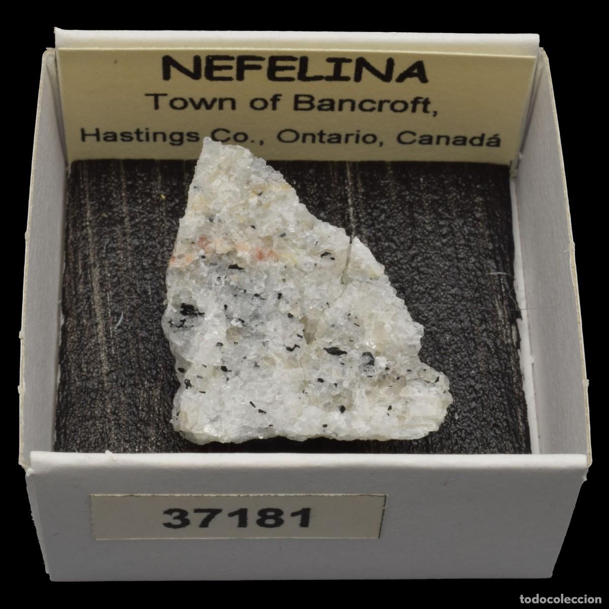 Coleccionismo de minerales: NEFELINA (Town of Bancroft, Hastings Co., Ontario, Canada) #37181