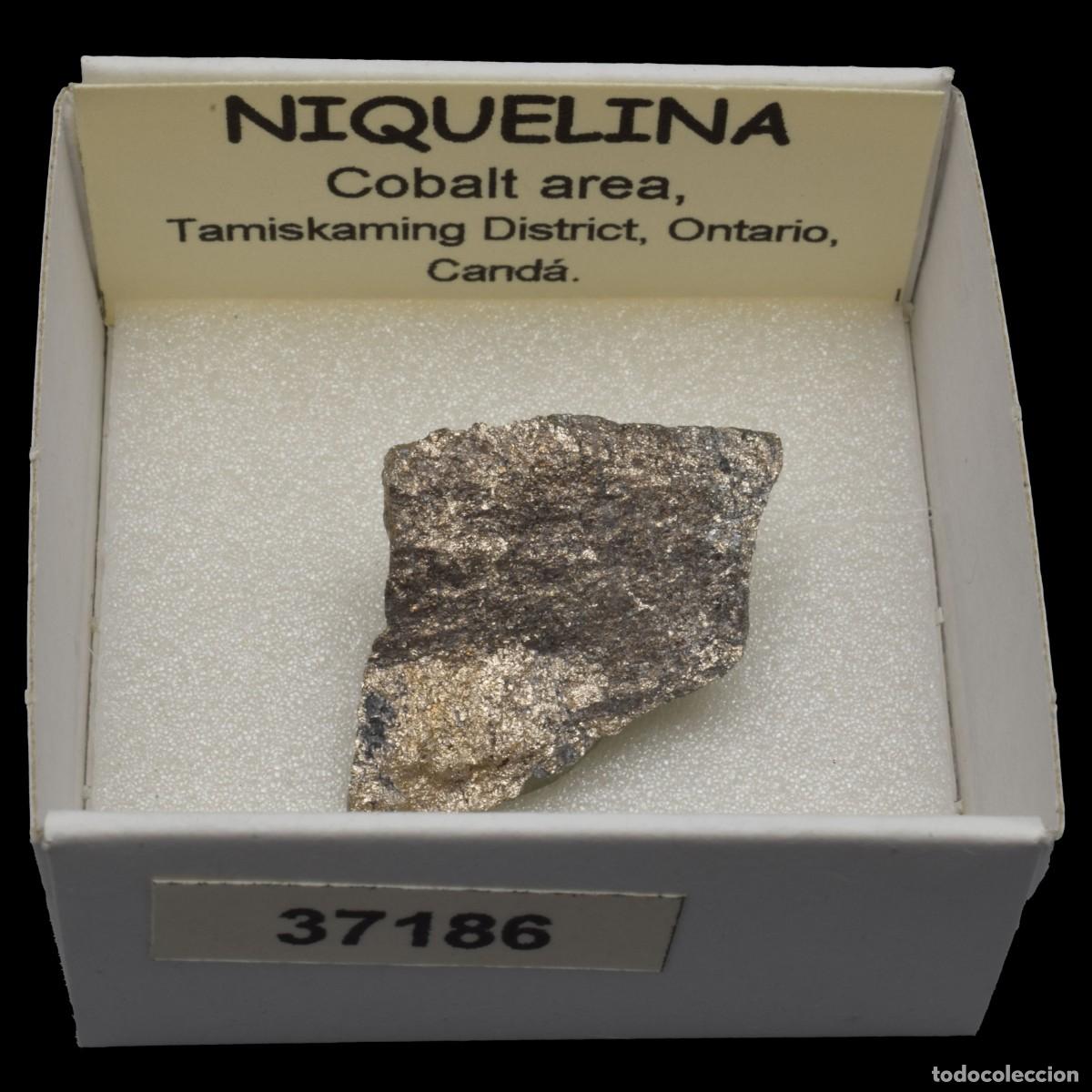 Coleccionismo de minerales: NIQUELINA (Cobalt area, Tamiskaming district, Ontario, Canada) #37186
