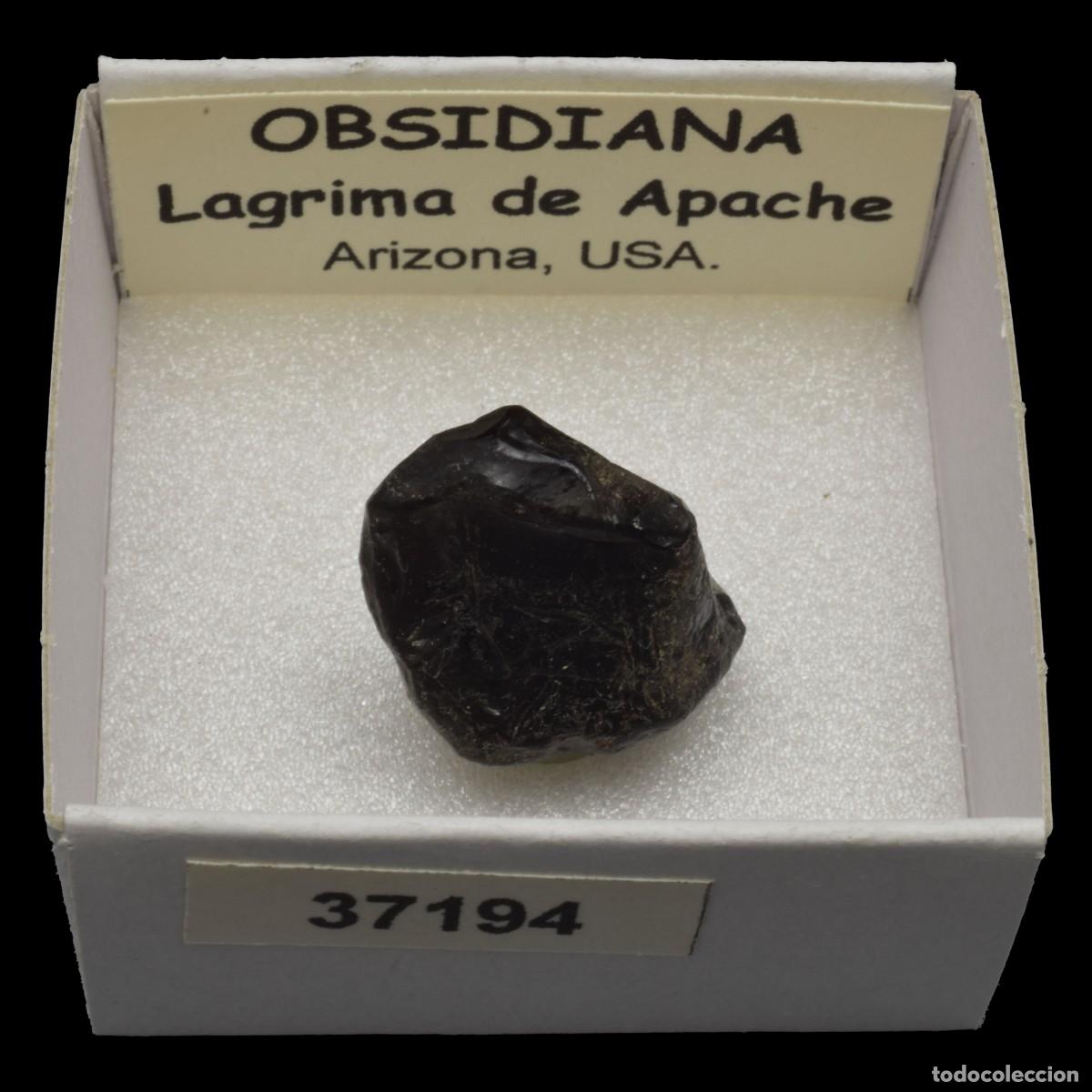 Collezionismo di minerali: OBSIDIANA Lagrima de Apache (Arizona, USA) #37194