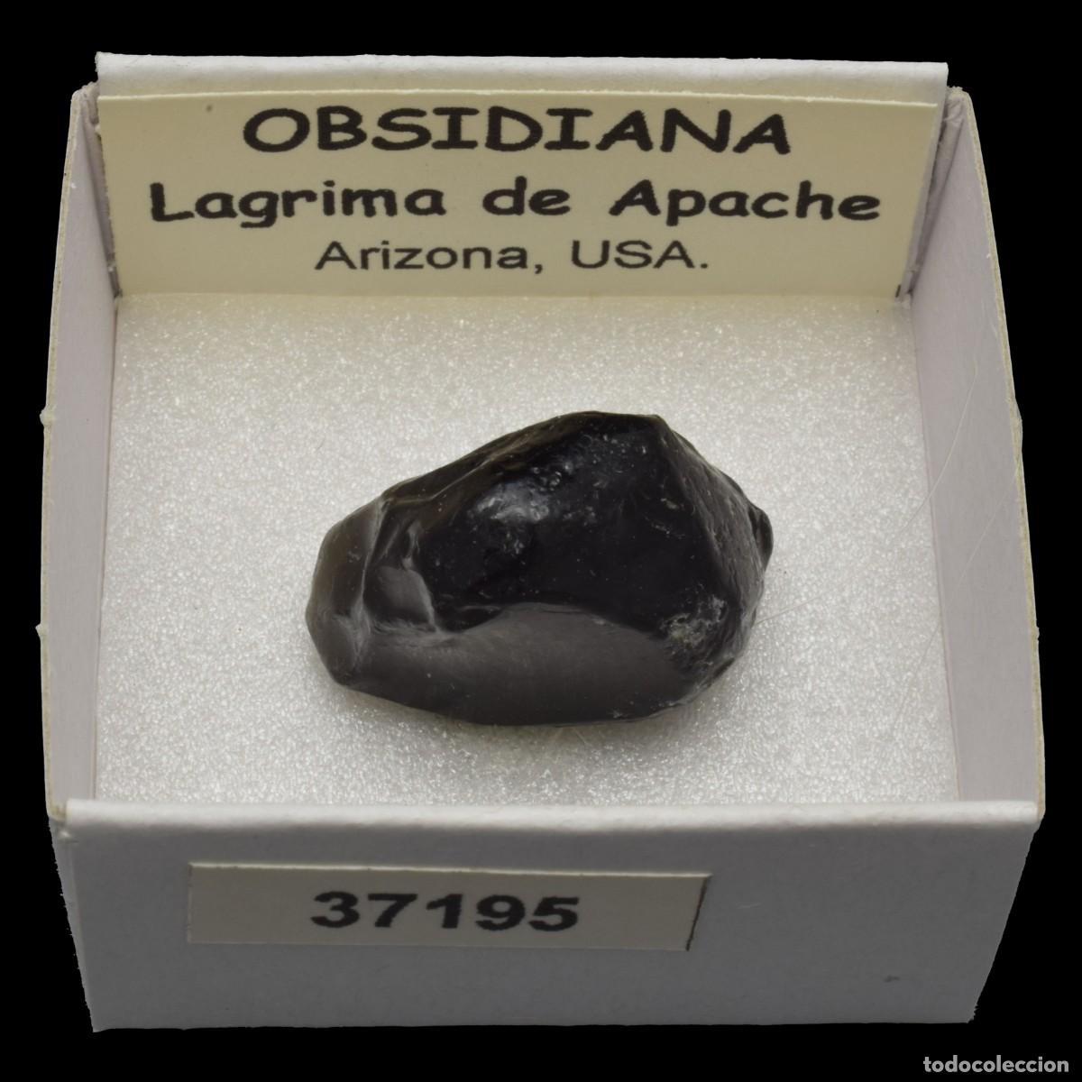 Collezionismo di minerali: OBSIDIANA Lagrima de Apache (Arizona, USA) #37195