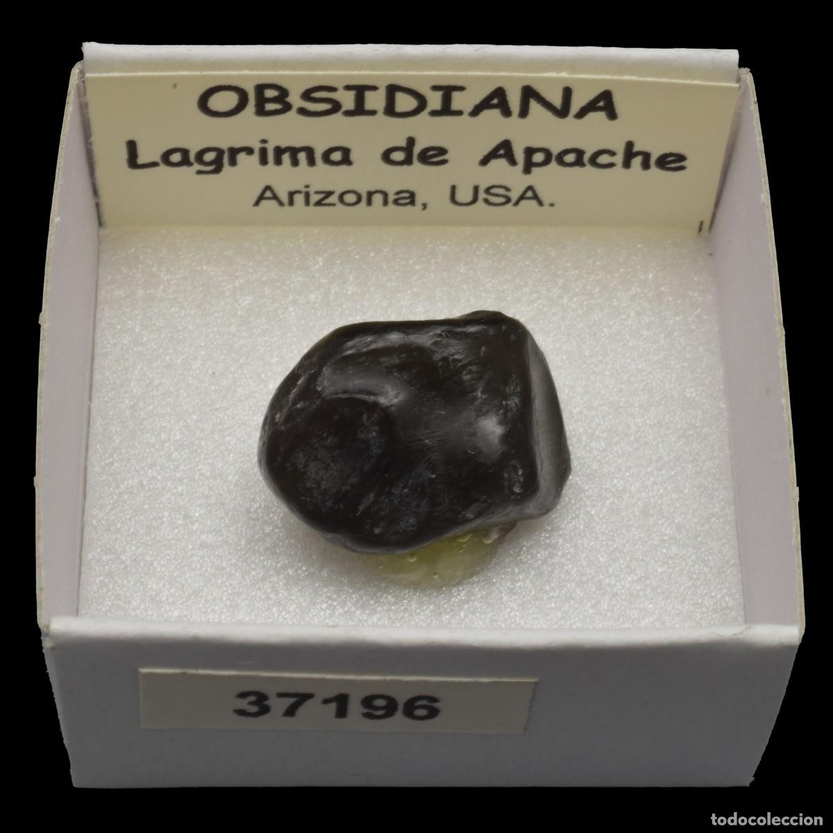 Collezionismo di minerali: OBSIDIANA Lagrima de Apache (Arizona, USA) #37196
