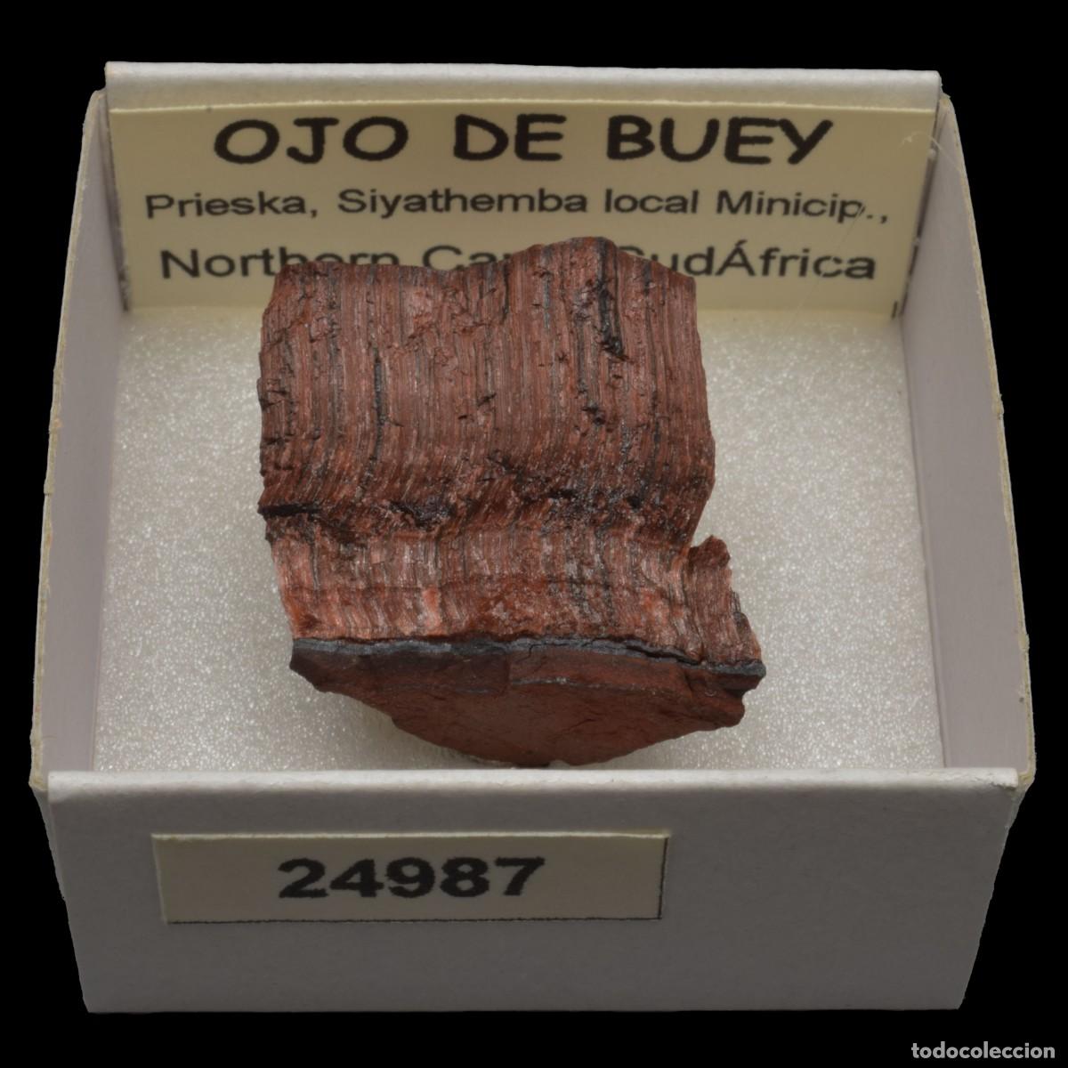 Collezionismo di minerali: OJO DE BUEY (Prieska, Siyathemba loal Minicip., Northern Cape, Sudafrica) #24987