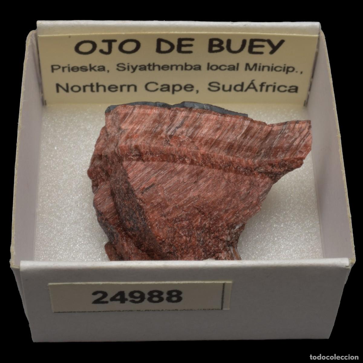 Collezionismo di minerali: OJO DE BUEY (Prieska, Siyathemba loal Minicip., Northern Cape, Sudafrica) #24988
