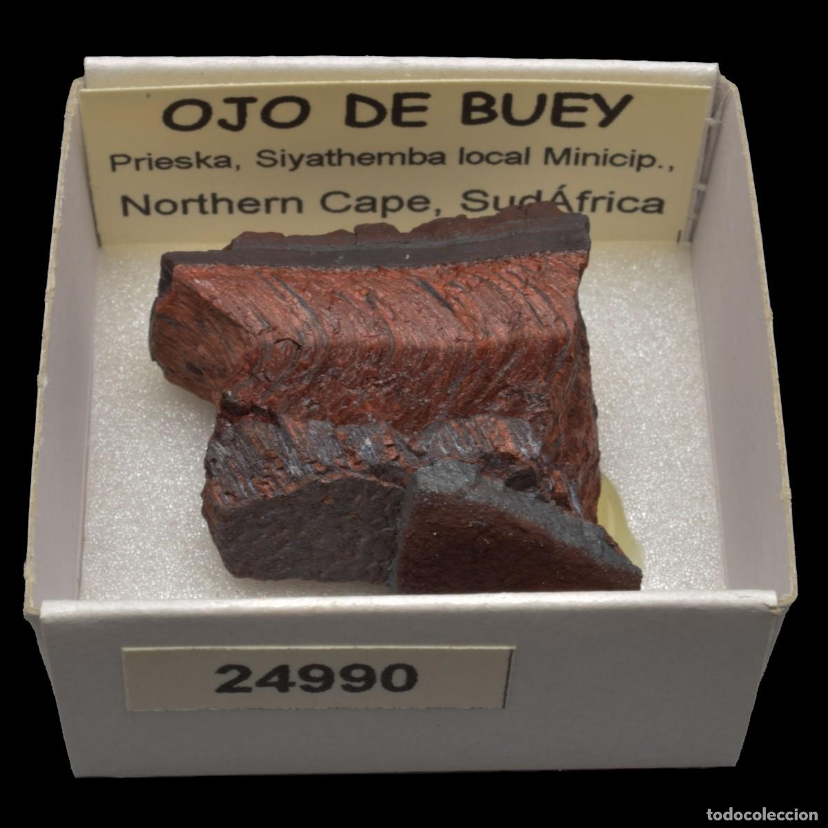 Collezionismo di minerali: OJO DE BUEY (Prieska, Siyathemba loal Minicip., Northern Cape, Sudafrica) #24990