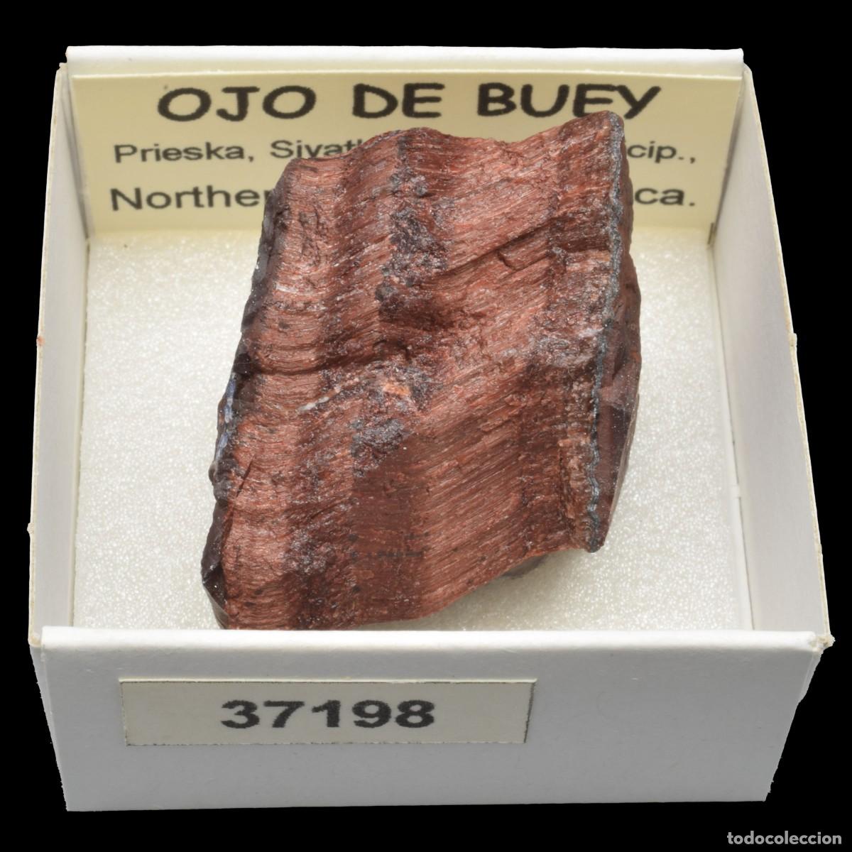 Collezionismo di minerali: OJO DE BUEY (Prieska, Siyathemba loal Minicip., Northern Cape, Sudafrica) #37198