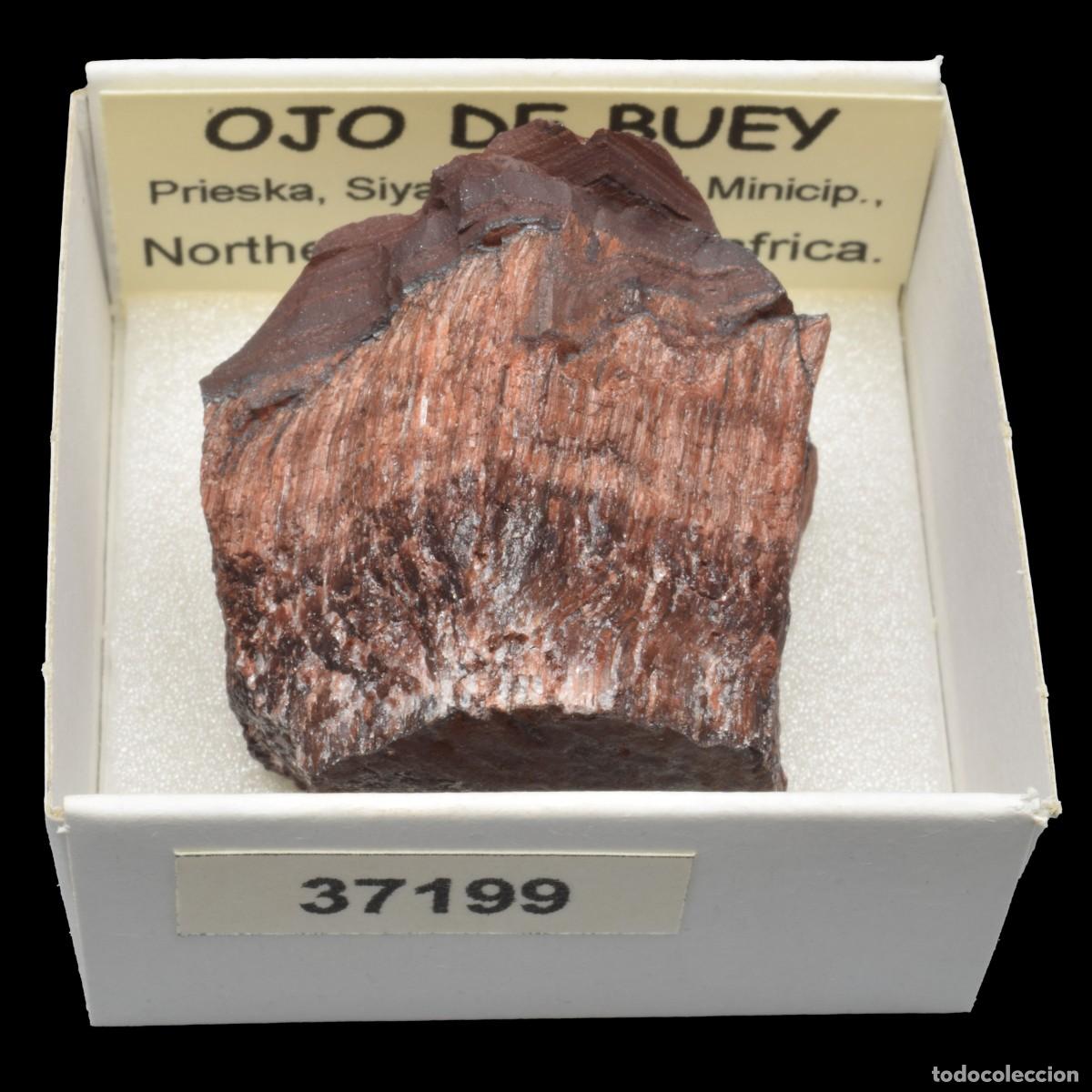 Coleccionismo de minerales: OJO DE BUEY (Prieska, Siyathemba loal Minicip., Northern Cape, Sudafrica) #37199