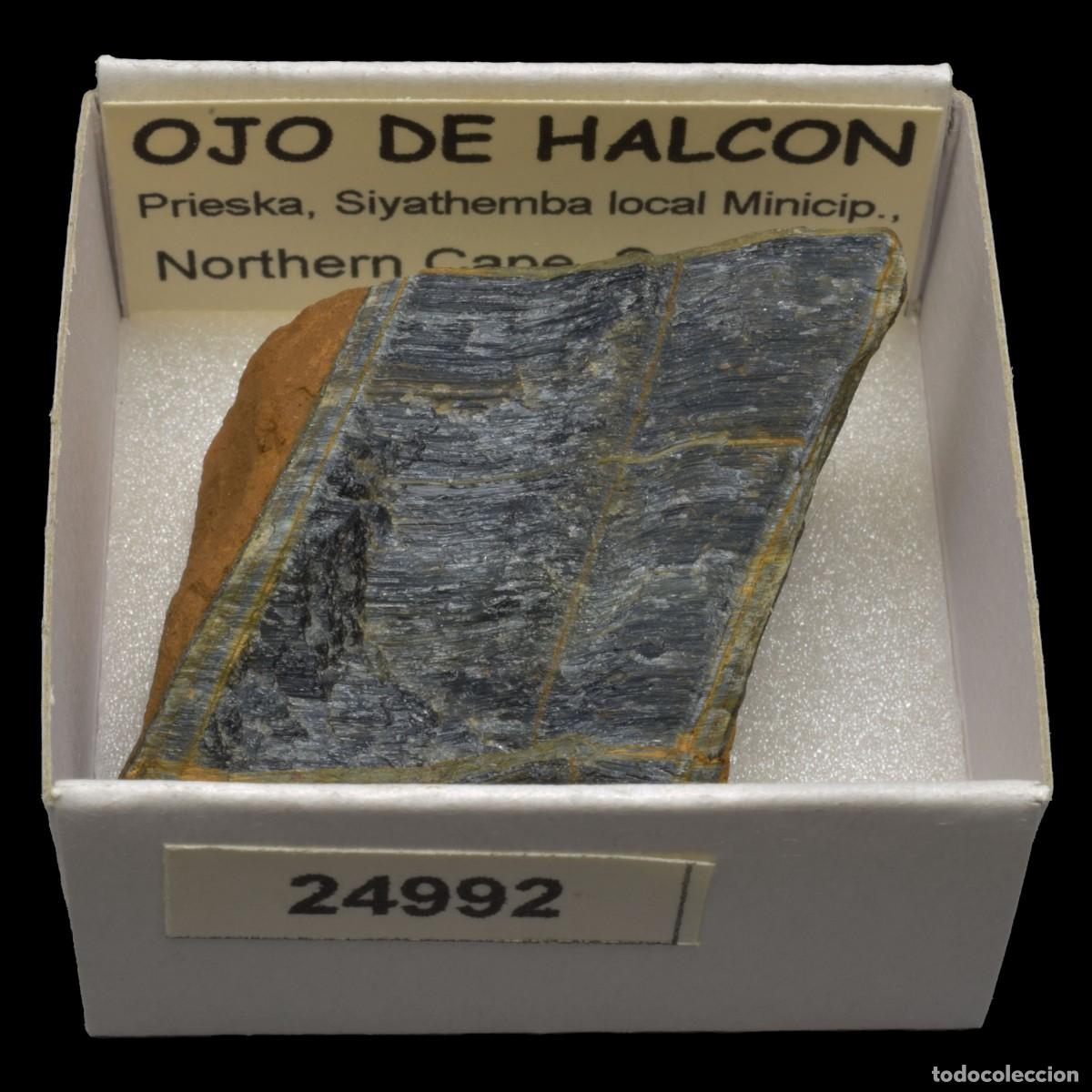 Collezionismo di minerali: OJO DE HALCON (Prieska, Siyathemba loal Minicip., Northern Cape, Sudafrica) #24992