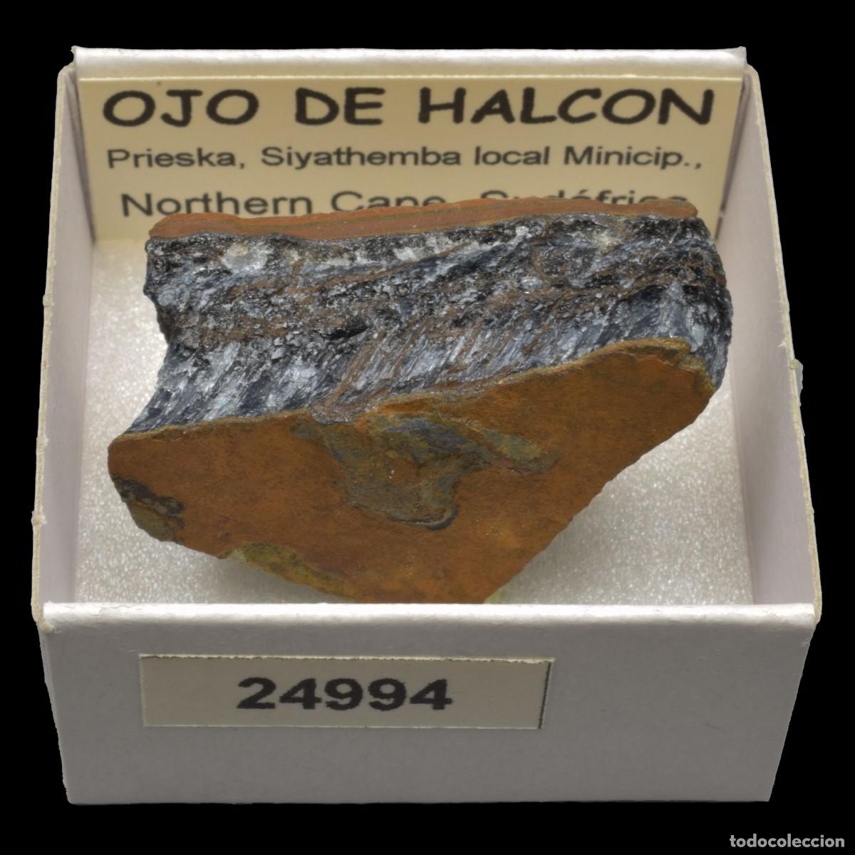 Coleccionismo de minerales: OJO DE HALCON (Prieska, Siyathemba loal Minicip., Northern Cape, Sudafrica) #24994