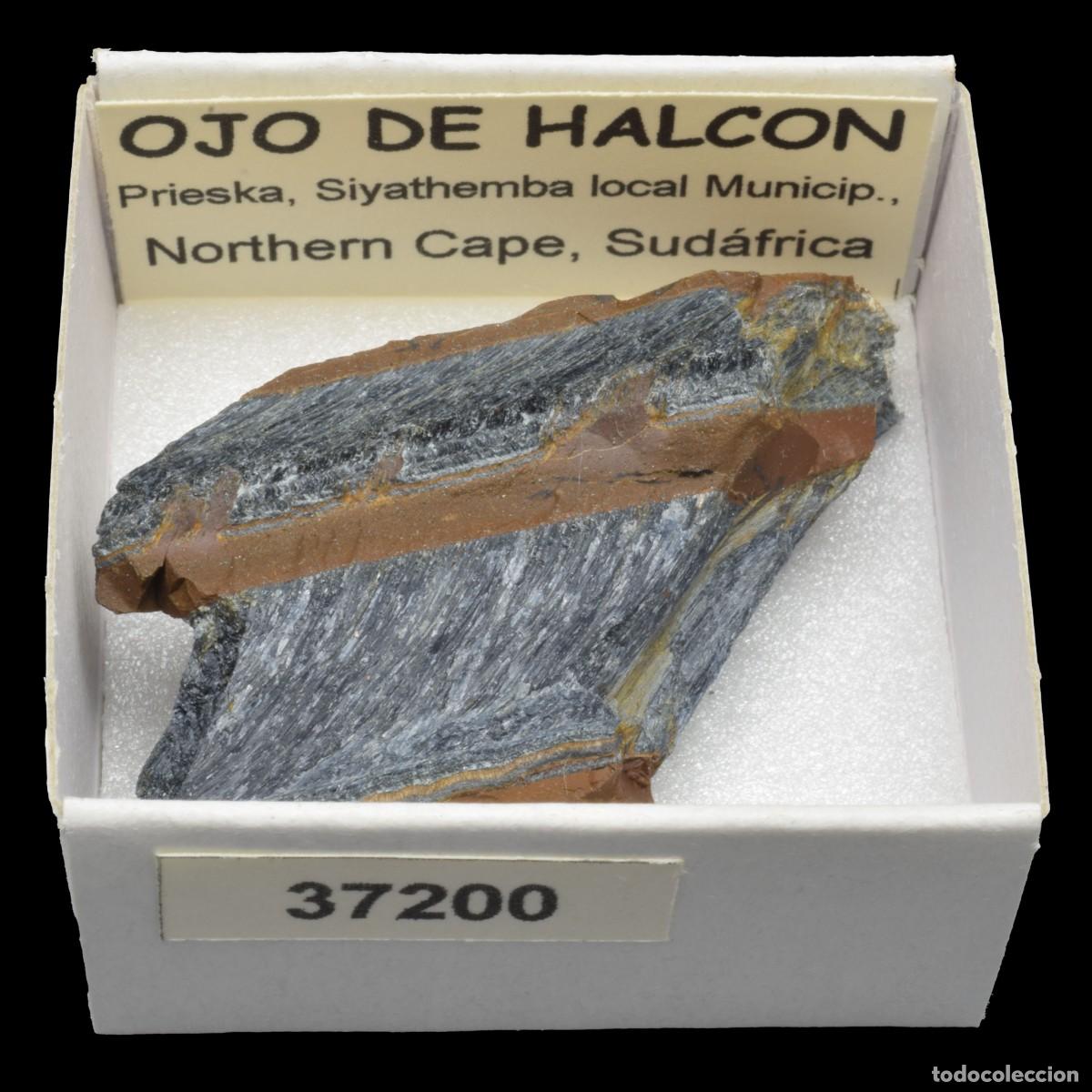 Coleccionismo de minerales: OJO DE HALCON (Prieska, Siyathemba loal Minicip., Northern Cape, Sudafrica) #37200