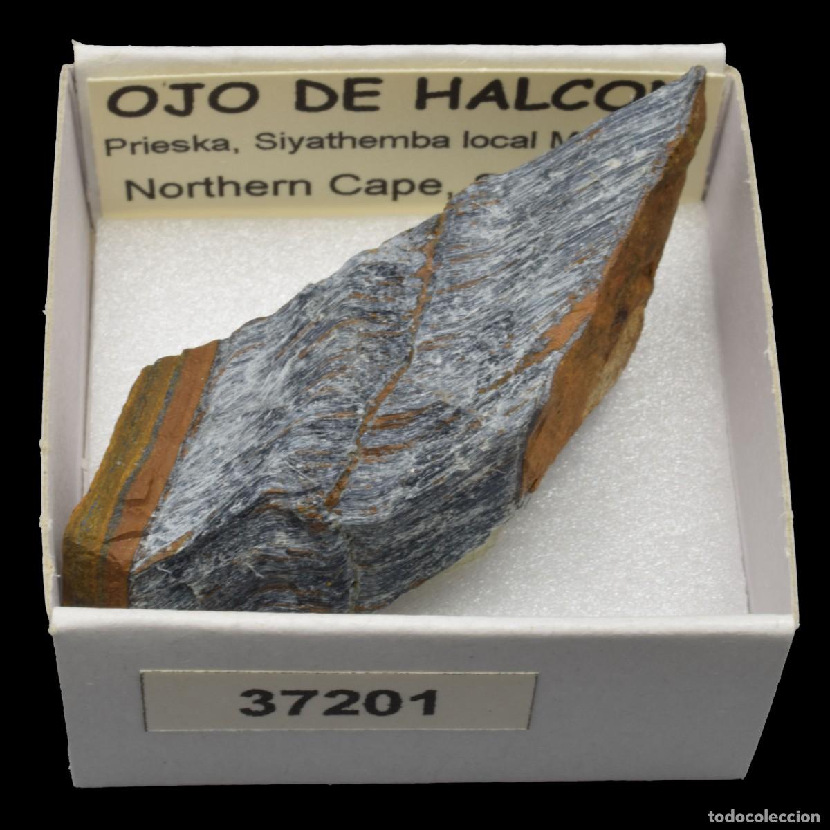 Coleccionismo de minerales: OJO DE HALCON (Prieska, Siyathemba loal Minicip., Northern Cape, Sudafrica) #37201