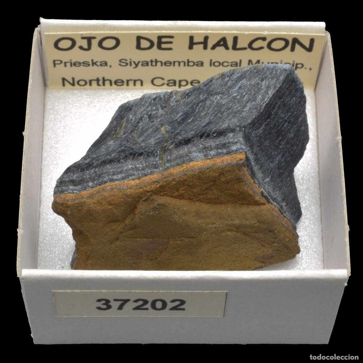 Coleccionismo de minerales: OJO DE HALCON (Prieska, Siyathemba loal Minicip., Northern Cape, Sudafrica) #37202