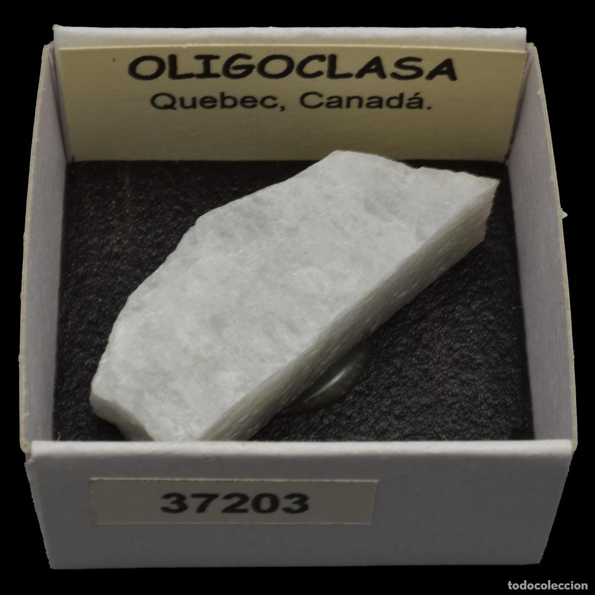 Collezionismo di minerali: OLIGOCLASA (Quebec, Canada) #37203
