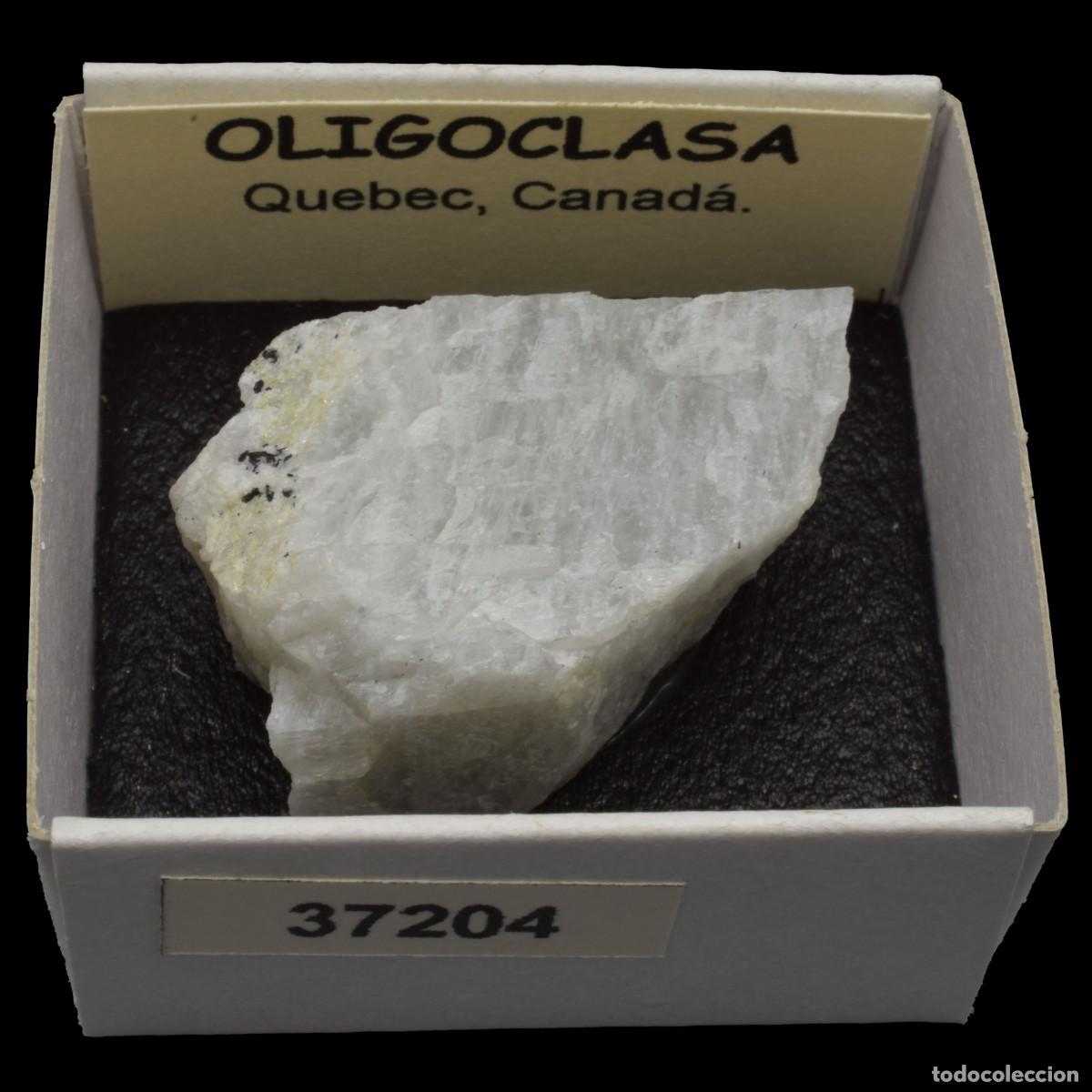 Collezionismo di minerali: OLIGOCLASA (Quebec, Canada) #37204