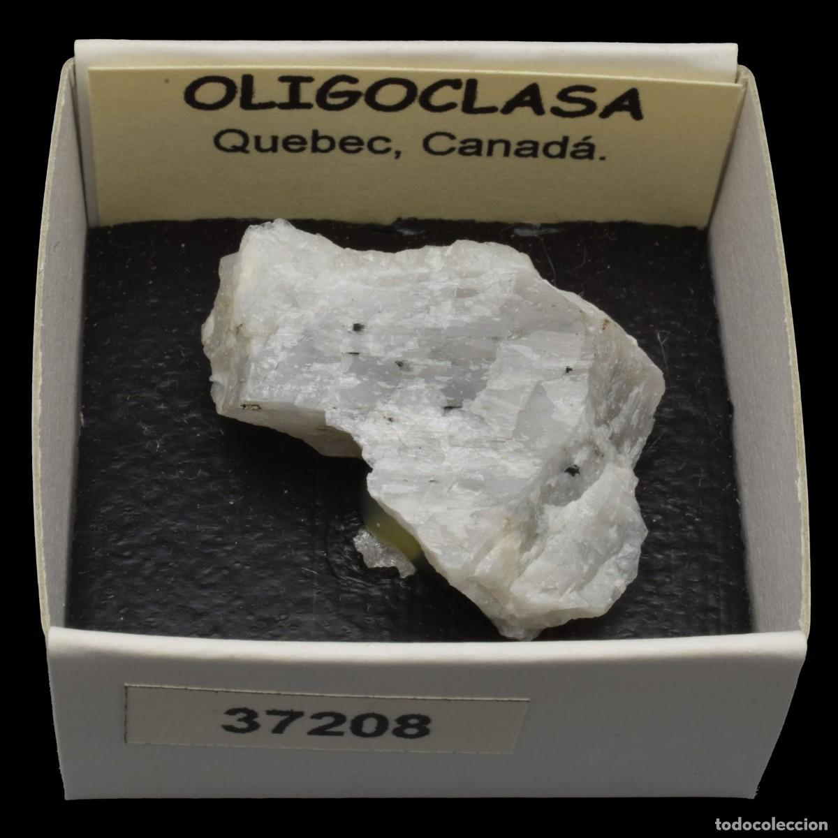 Collezionismo di minerali: OLIGOCLASA (Quebec, Canada) #37208