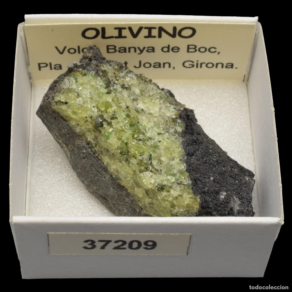 Collezionismo di minerali: OLIVINO (Volcan Banya de Boc, Pla de Sant Joan, Girona, Espa&ntilde;a) #37209