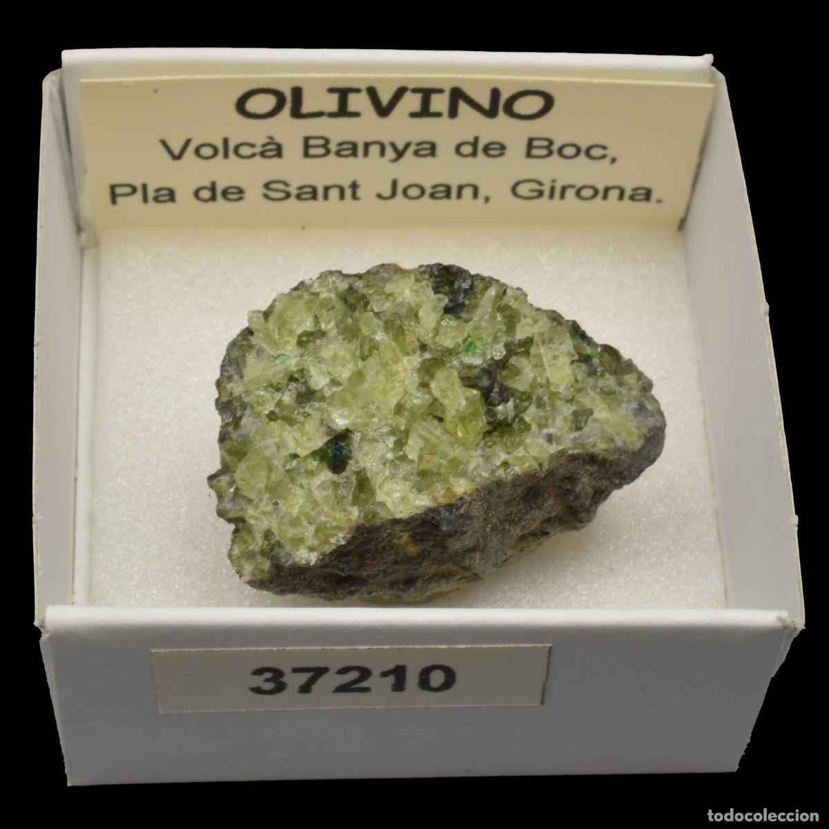 Collezionismo di minerali: OLIVINO (Volcan Banya de Boc, Pla de Sant Joan, Girona, Espa&ntilde;a) #37210