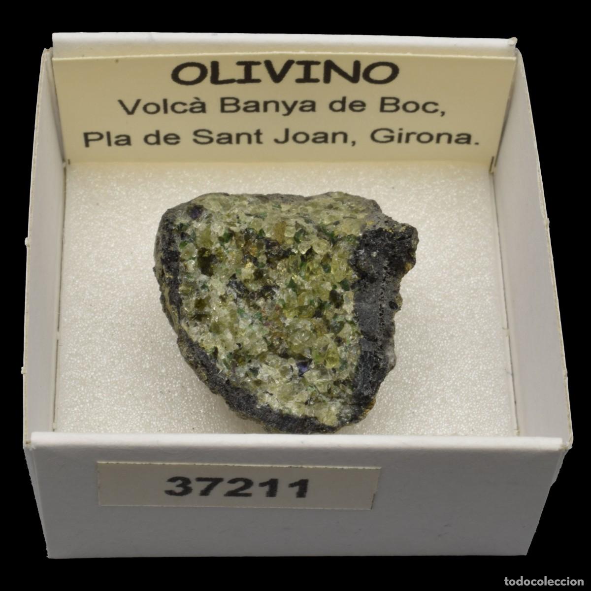 Collezionismo di minerali: OLIVINO (Volcan Banya de Boc, Pla de Sant Joan, Girona, Espa&ntilde;a) #37211