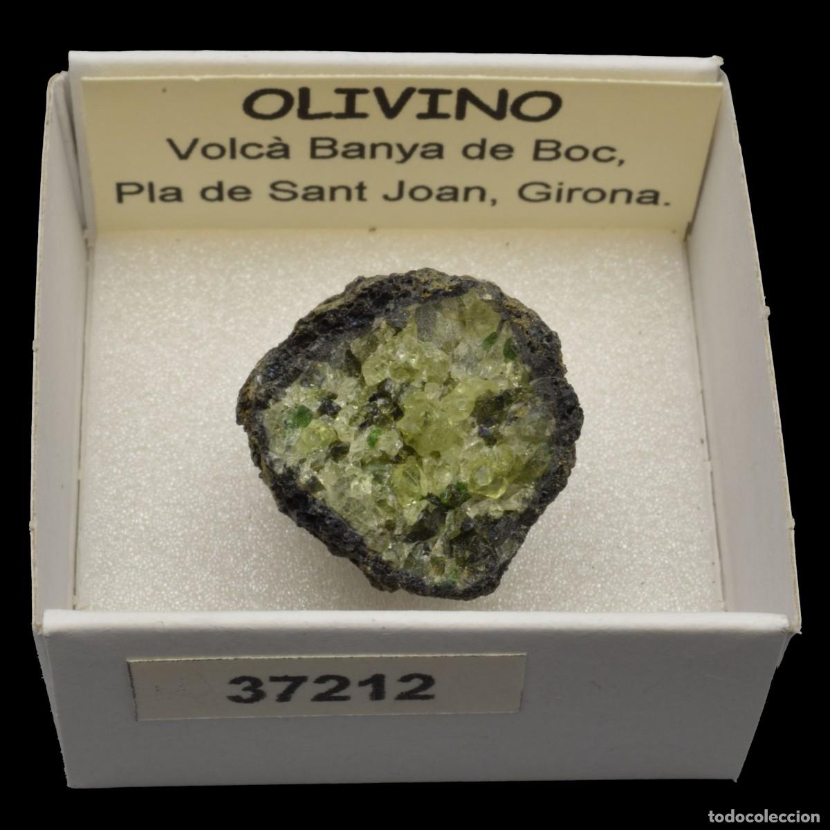 Collezionismo di minerali: OLIVINO (Volcan Banya de Boc, Pla de Sant Joan, Girona, Espa&ntilde;a) #37212