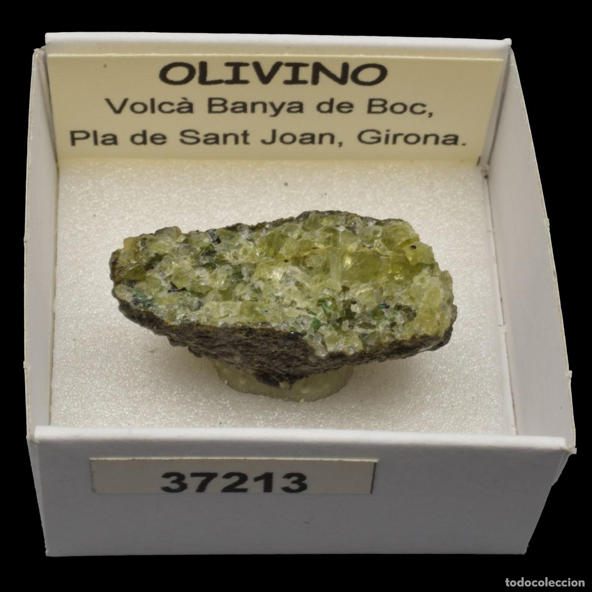 Collezionismo di minerali: OLIVINO (Volcan Banya de Boc, Pla de Sant Joan, Girona, Espa&ntilde;a) #37213