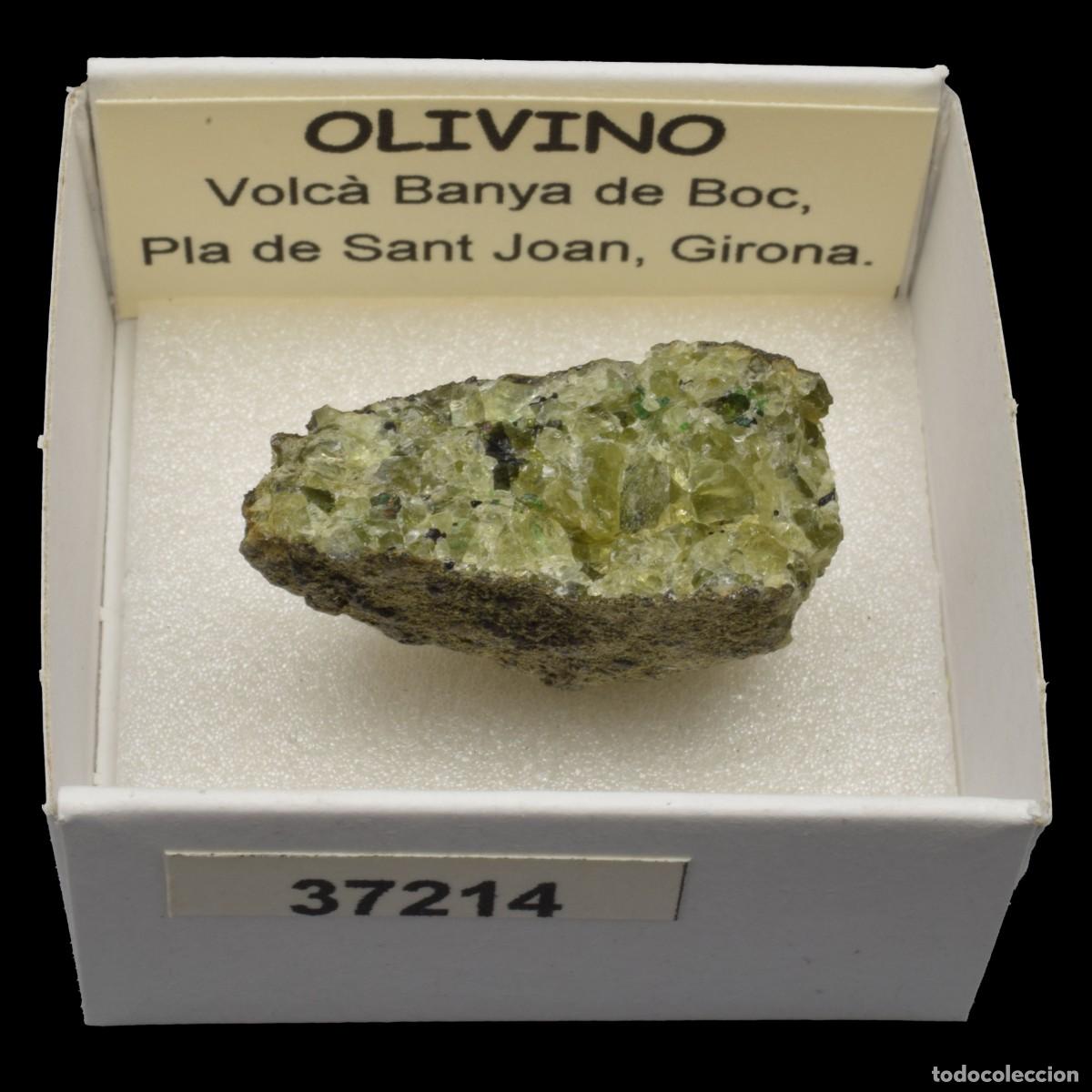 Collezionismo di minerali: OLIVINO (Volcan Banya de Boc, Pla de Sant Joan, Girona, Espa&ntilde;a) #37214