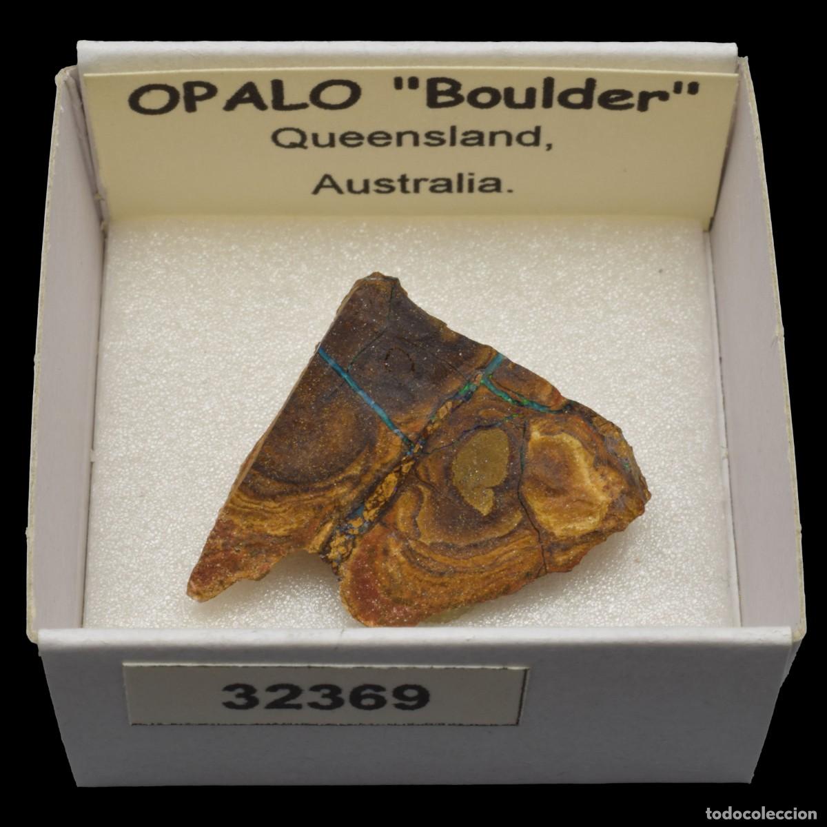 Collezionismo di minerali: OPALO &rdquo;Boulder&rdquo; (Queensland, Australia) #32369