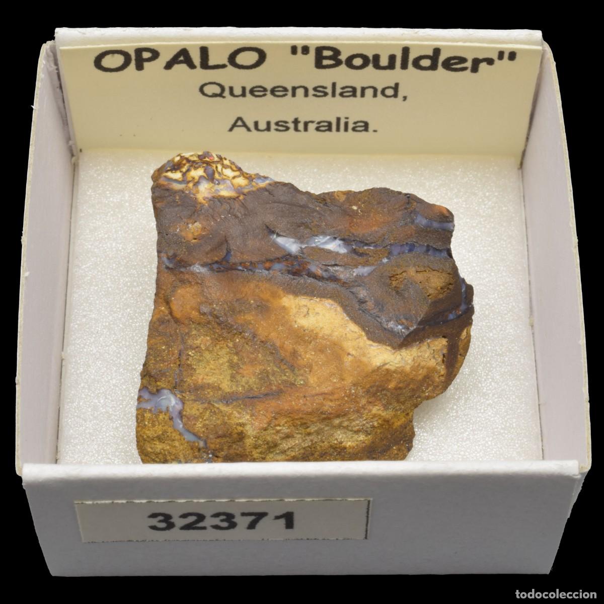 Collezionismo di minerali: OPALO &rdquo;Boulder&rdquo; (Queensland, Australia) #32371