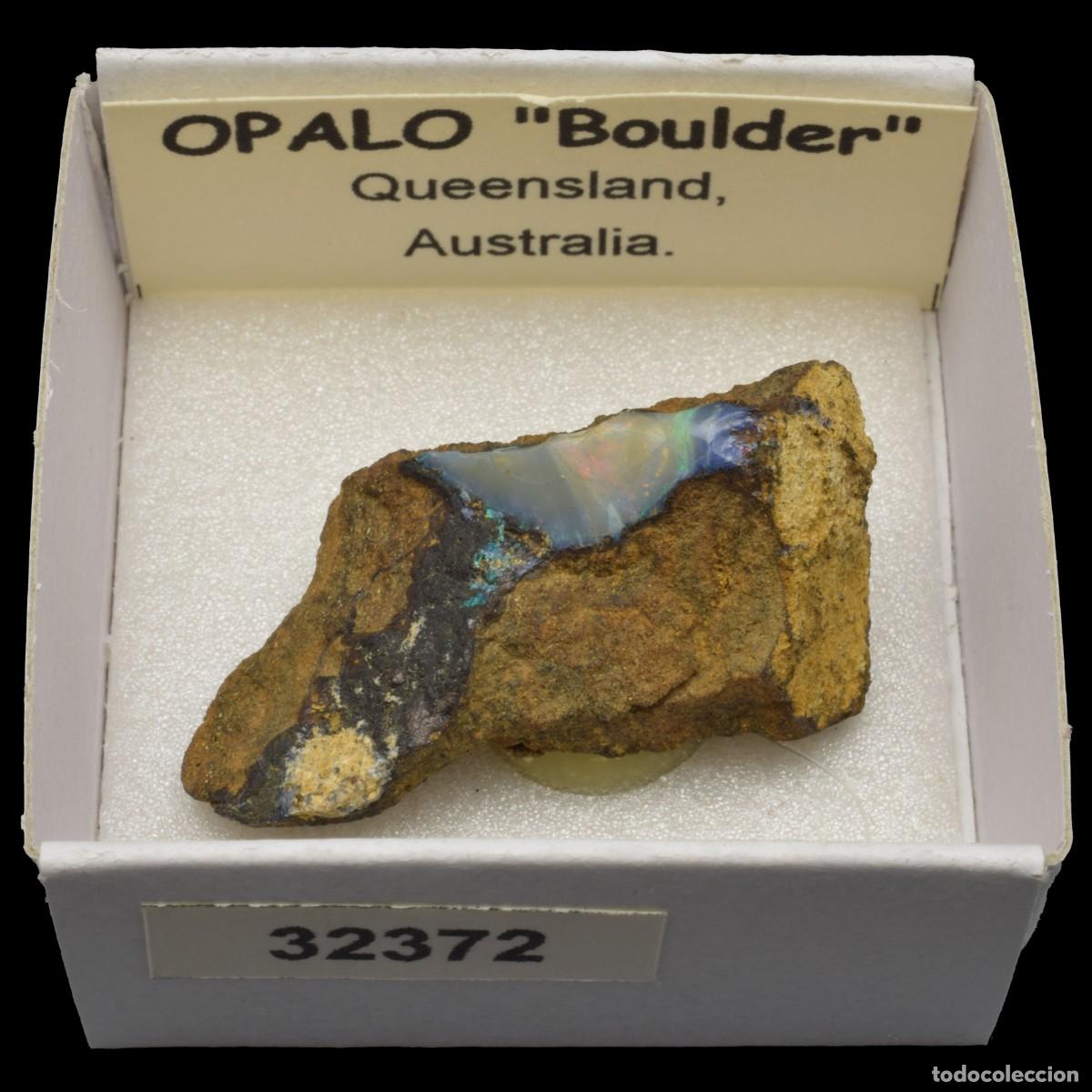Collezionismo di minerali: OPALO &rdquo;Boulder&rdquo; (Queensland, Australia) #32372