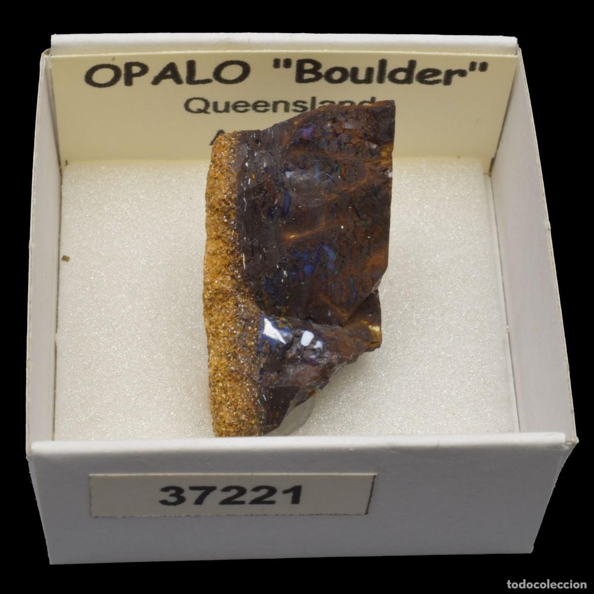 Collectionnisme de min&eacute;raux: OPALO &rdquo;Boulder&rdquo; (Queensland, Australia) #37221