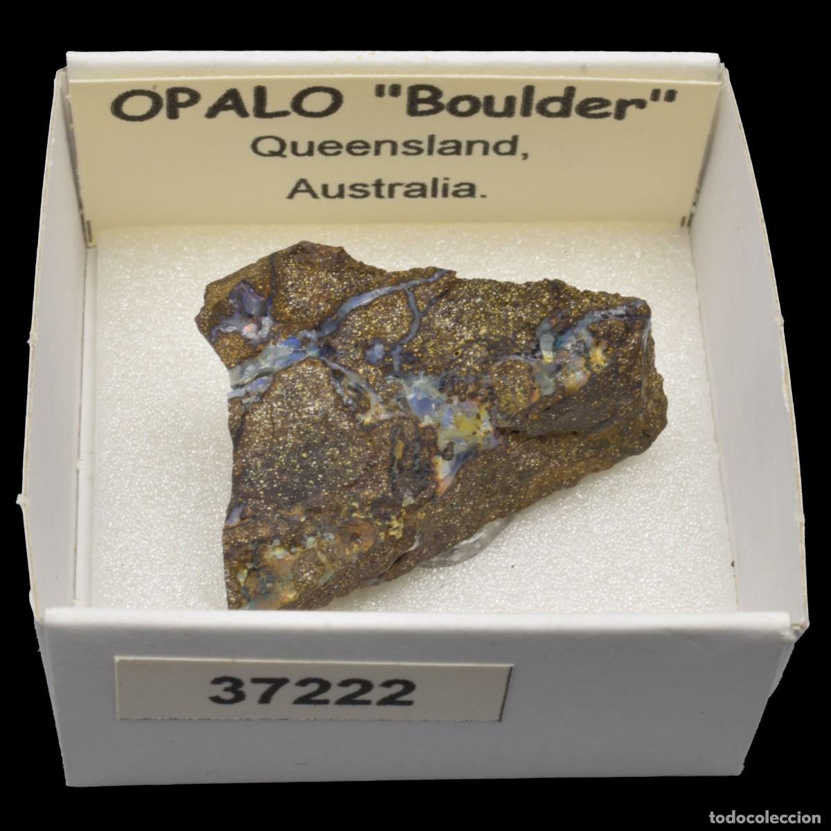 Collezionismo di minerali: OPALO &rdquo;Boulder&rdquo; (Queensland, Australia) #37222