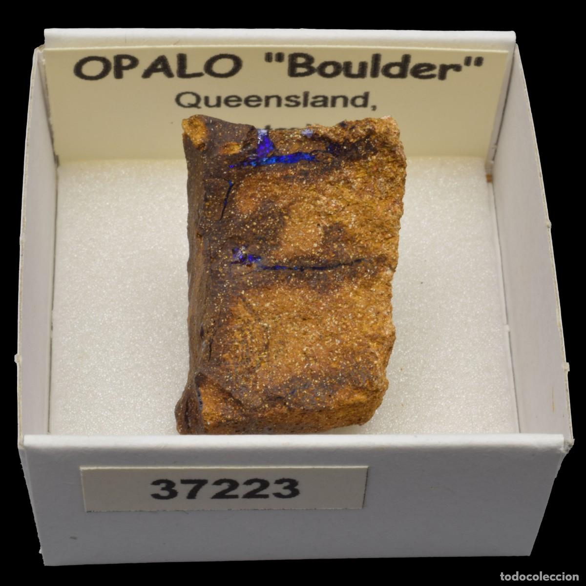 Sammlung von Mineralien: OPALO &rdquo;Boulder&rdquo; (Queensland, Australia) #37223