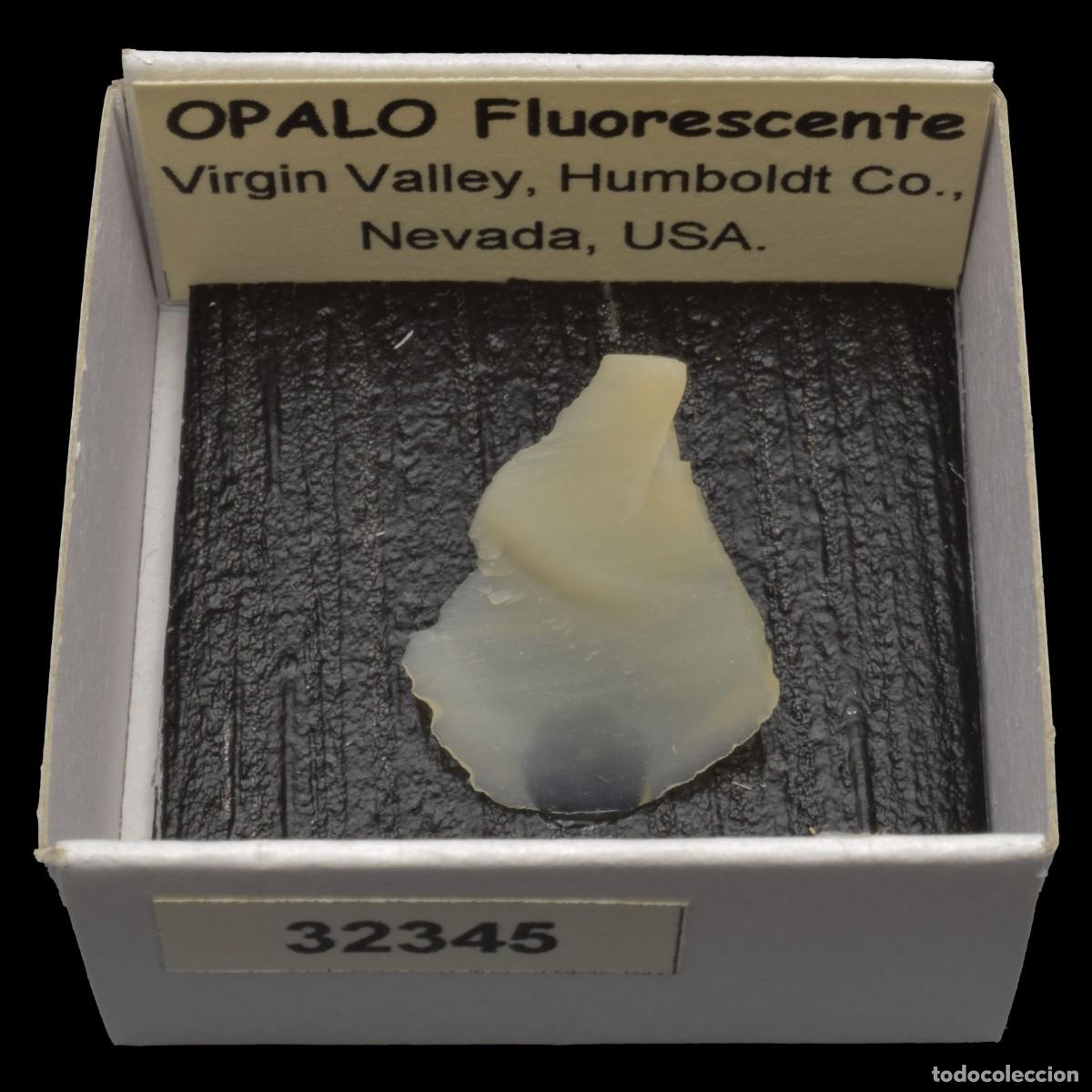 Collezionismo di minerali: OPALO Fluorescente (Virgin Valley, Humboldt Co., Nevada, USA) #32345