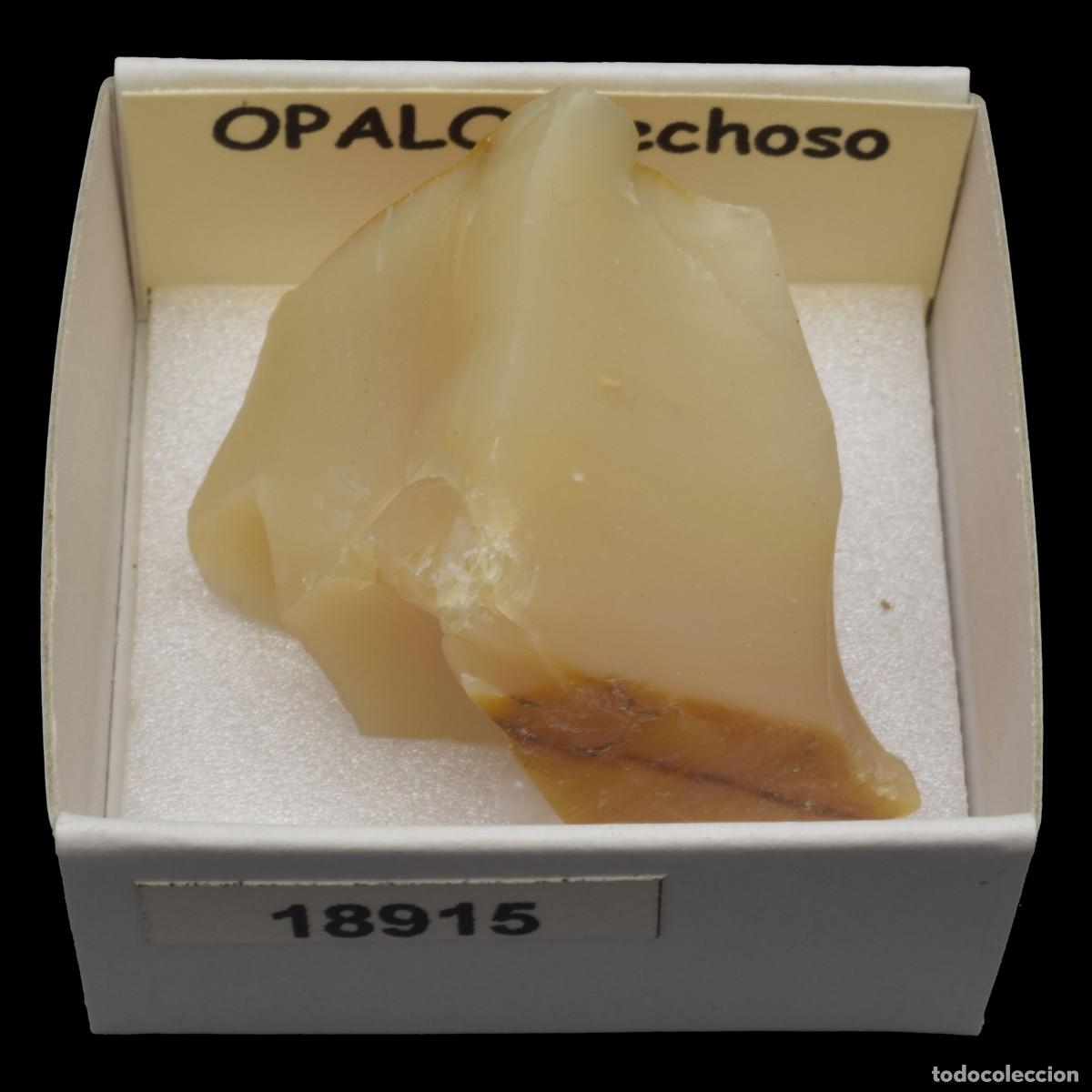 Coleccionismo de minerales: OPALO Lechoso (Peru) #18915