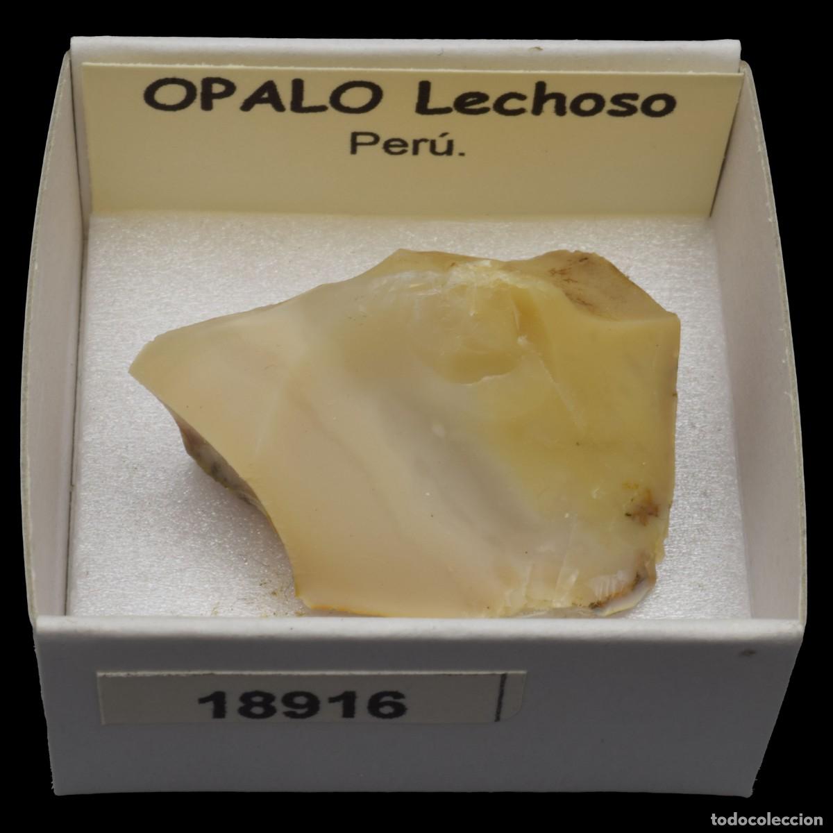 Coleccionismo de minerales: OPALO Lechoso (Peru) #18916