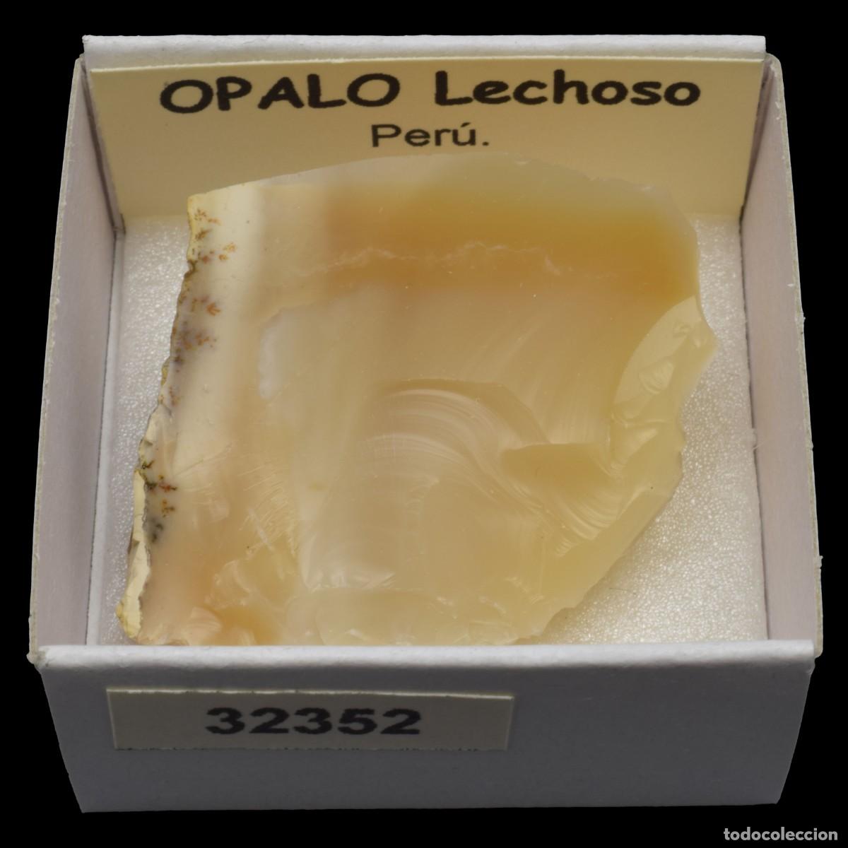 Coleccionismo de minerales: OPALO Lechoso (Peru) #32352