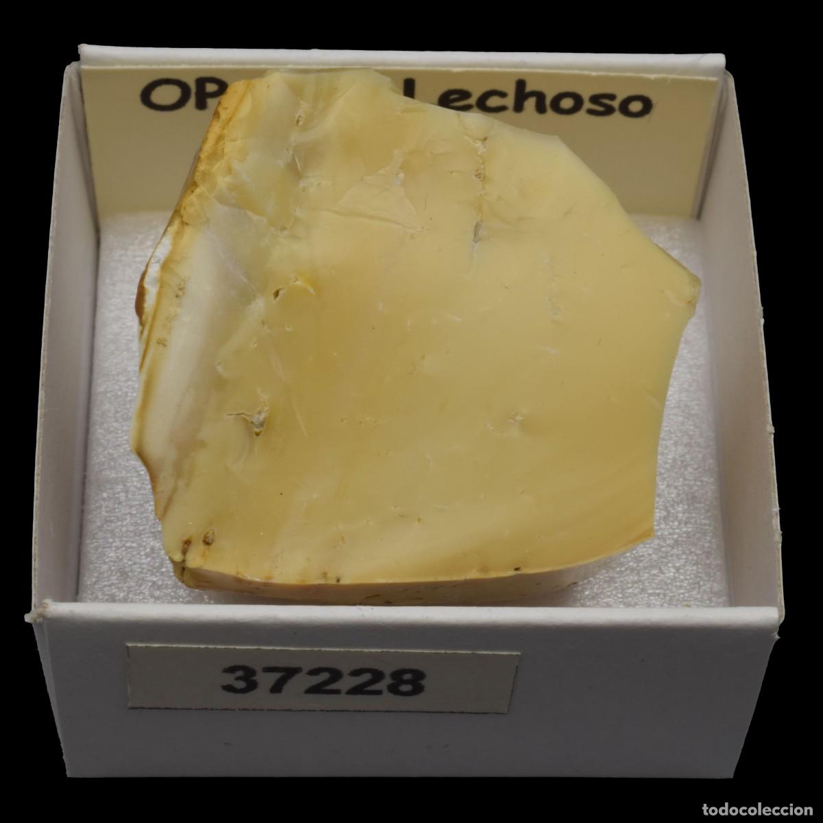 Coleccionismo de minerales: OPALO Lechoso (Peru) #37228