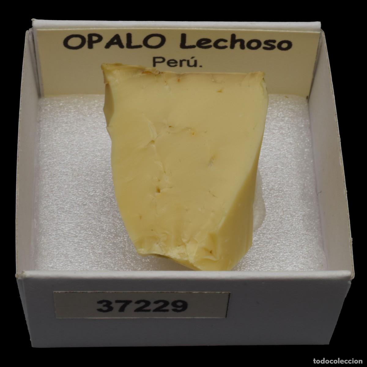 Coleccionismo de minerales: OPALO Lechoso (Peru) #37229