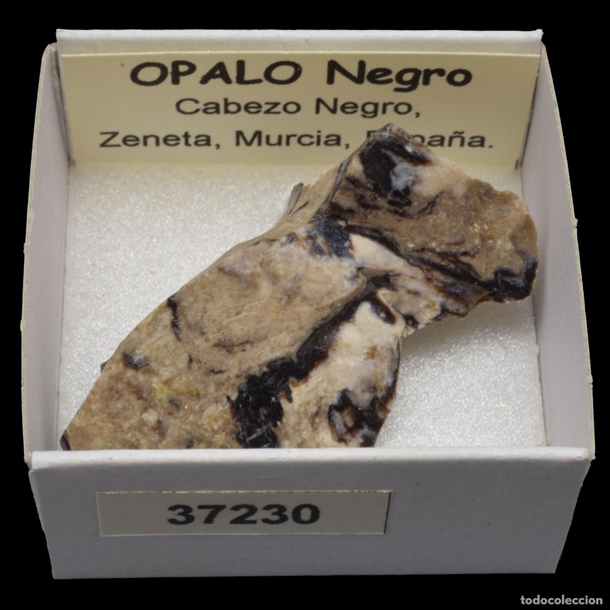 Coleccionismo de minerales: OPALO Negro (Cabezo Negro, Zeneta, Murcia, Espa&ntilde;a) #37230