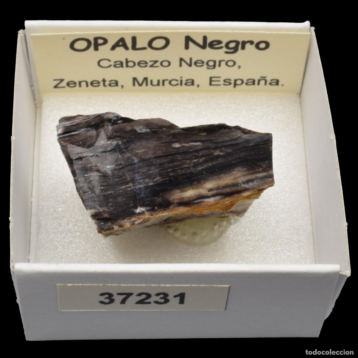 Coleccionismo de minerales: OPALO Negro (Cabezo Negro, Zeneta, Murcia, Espa&ntilde;a) #37231